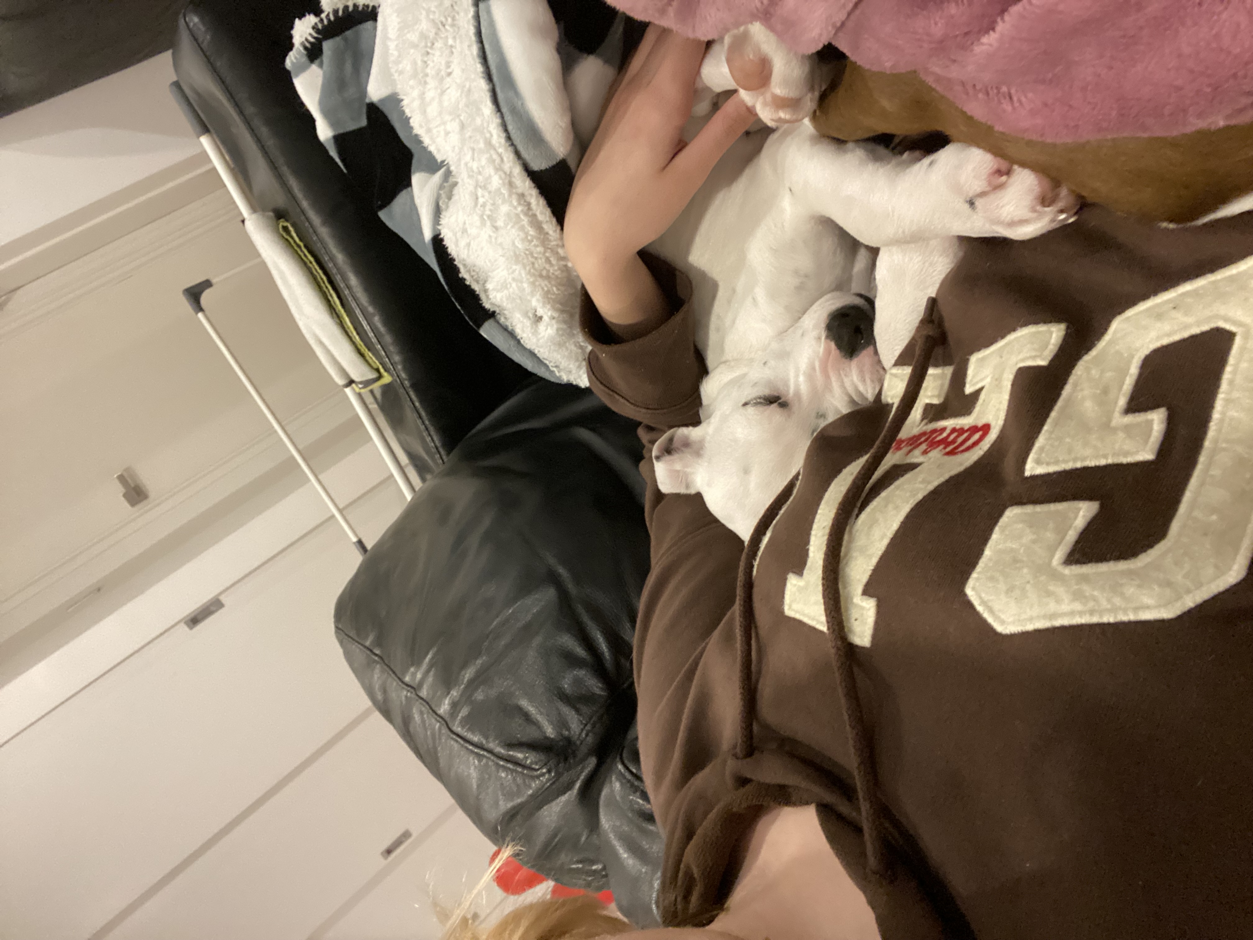 image-5