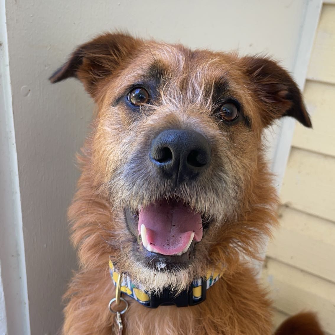 Milo