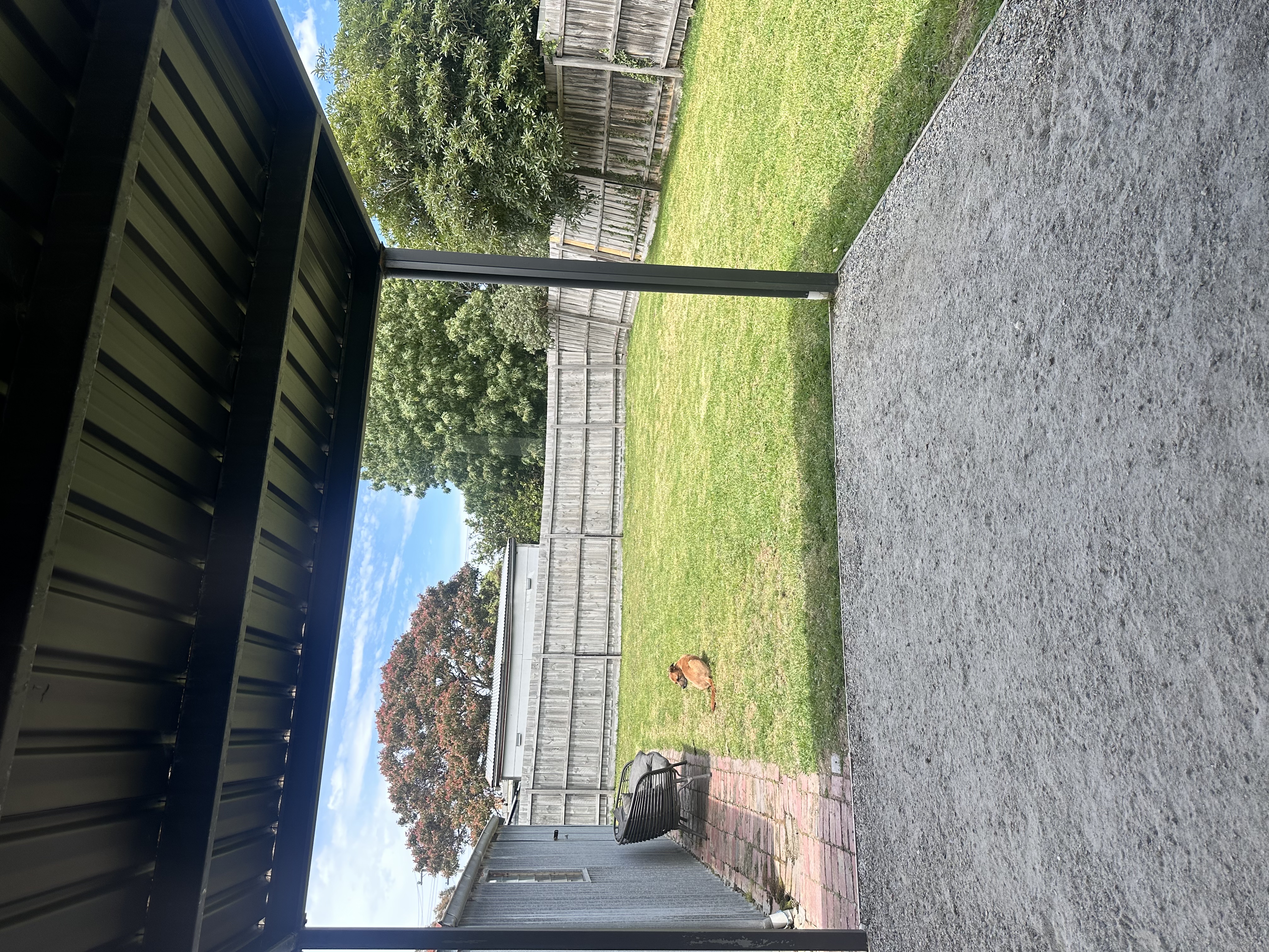 image-20