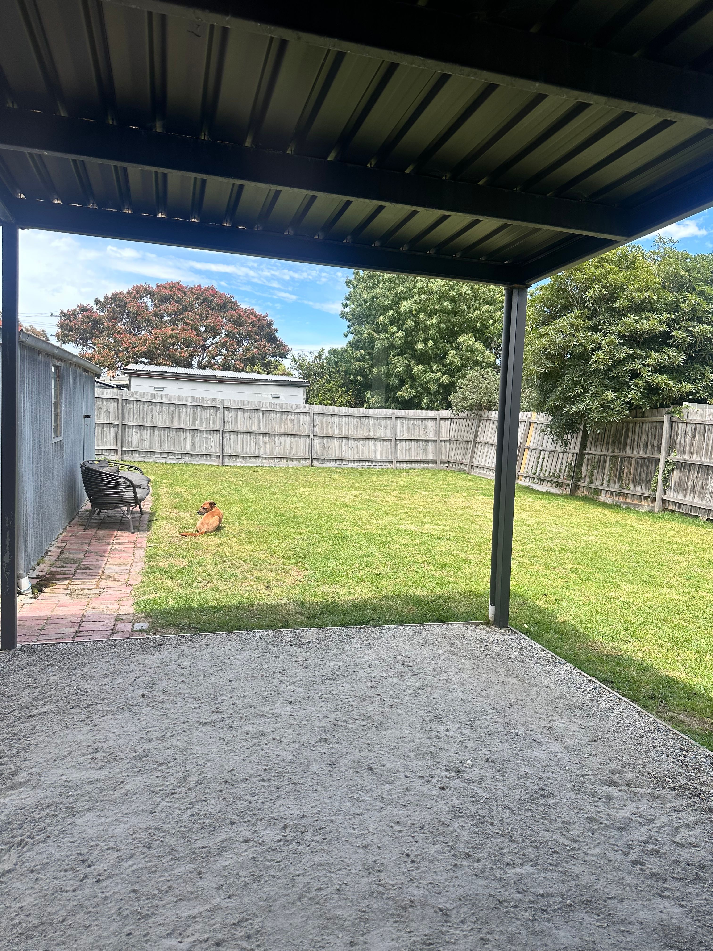 image-20