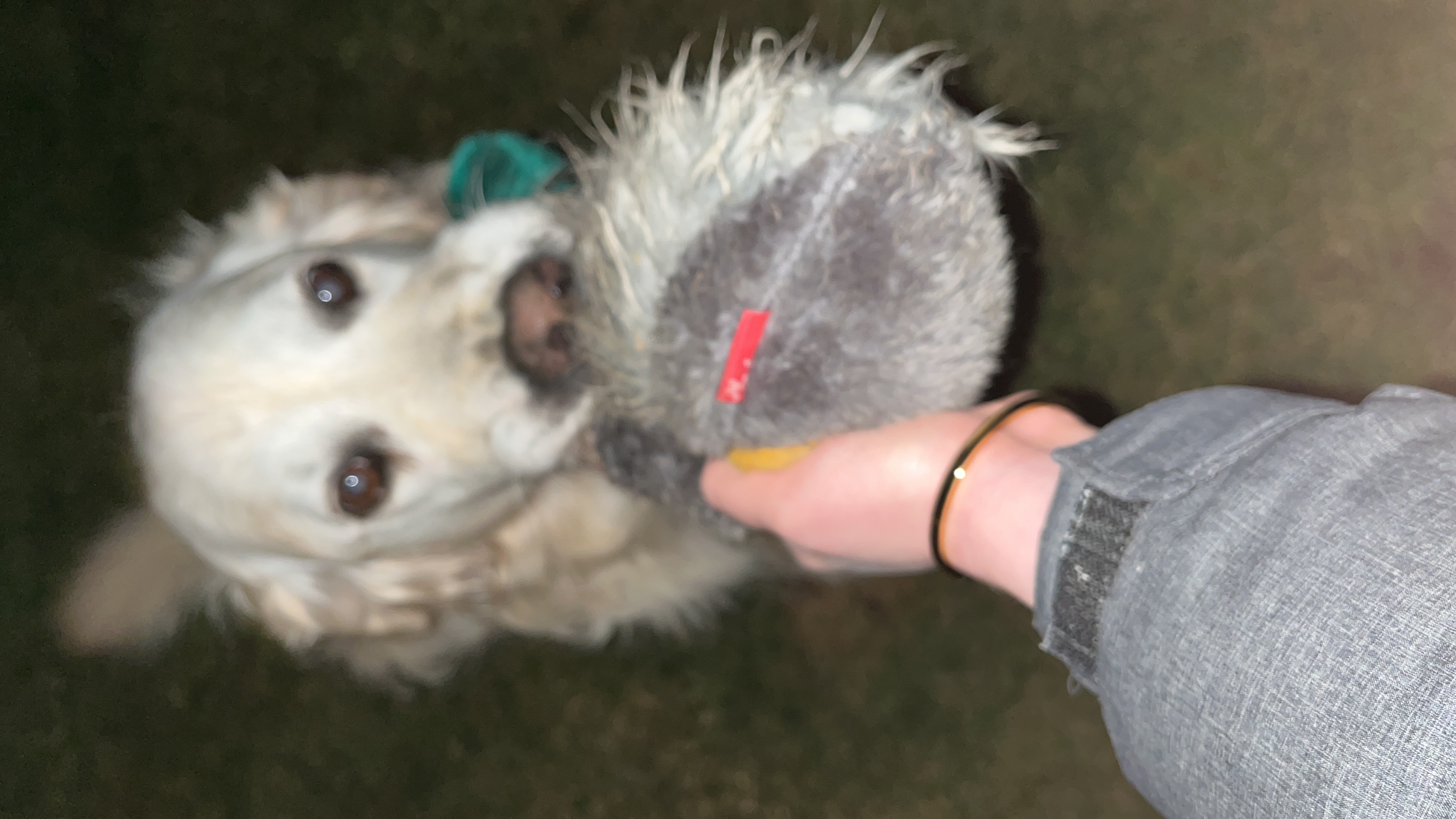 image-11