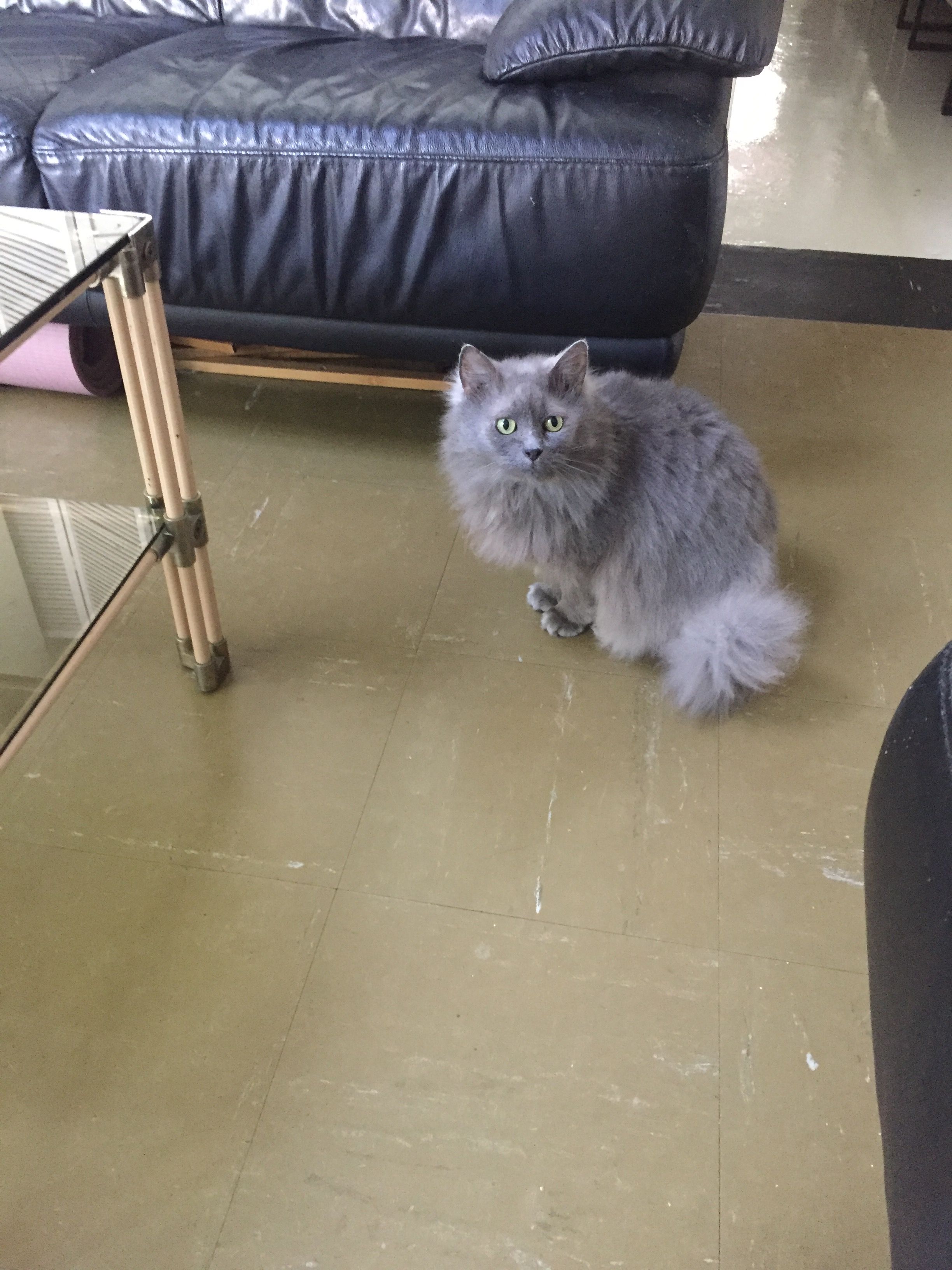 image-11