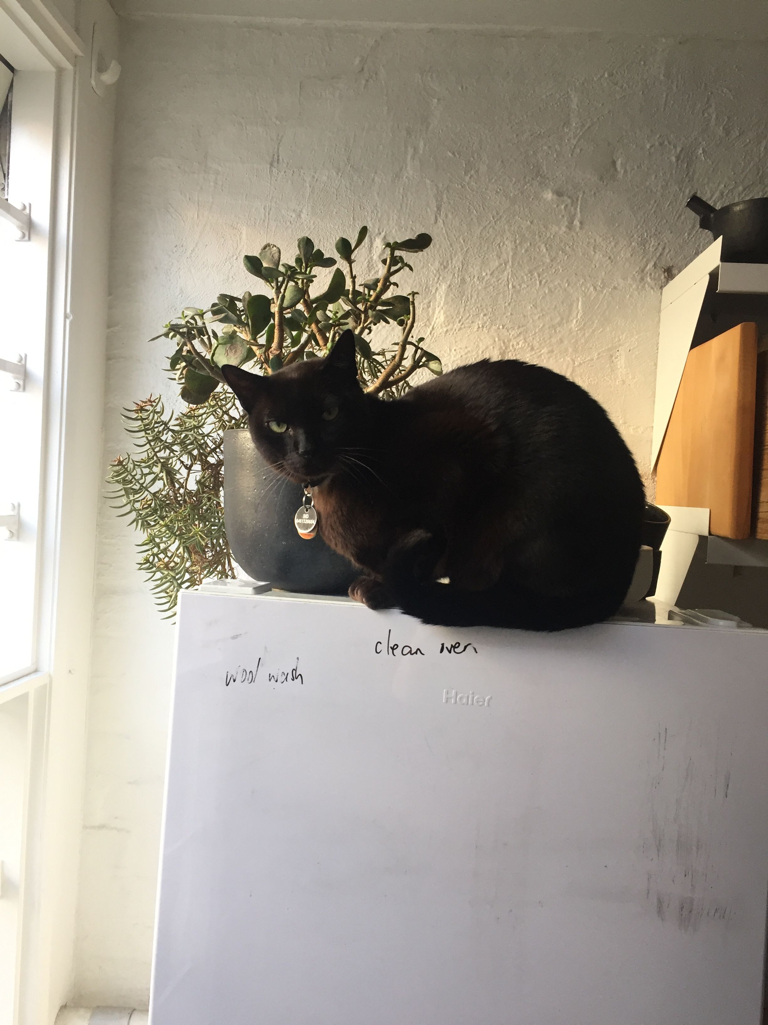 image-12