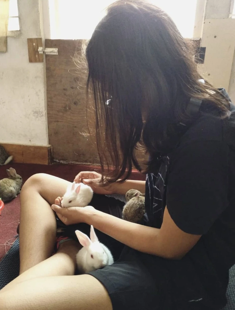 image-5