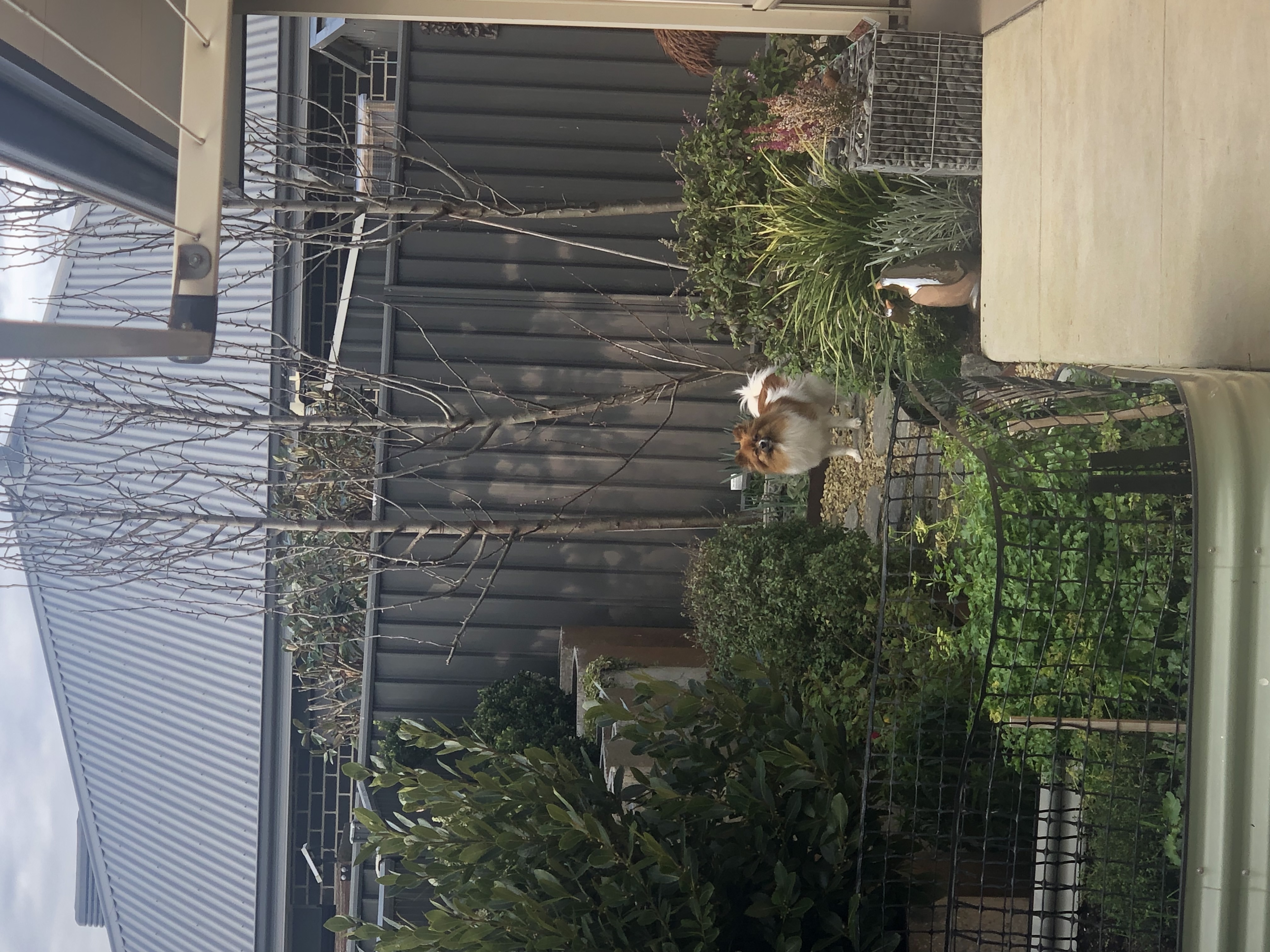 image-16