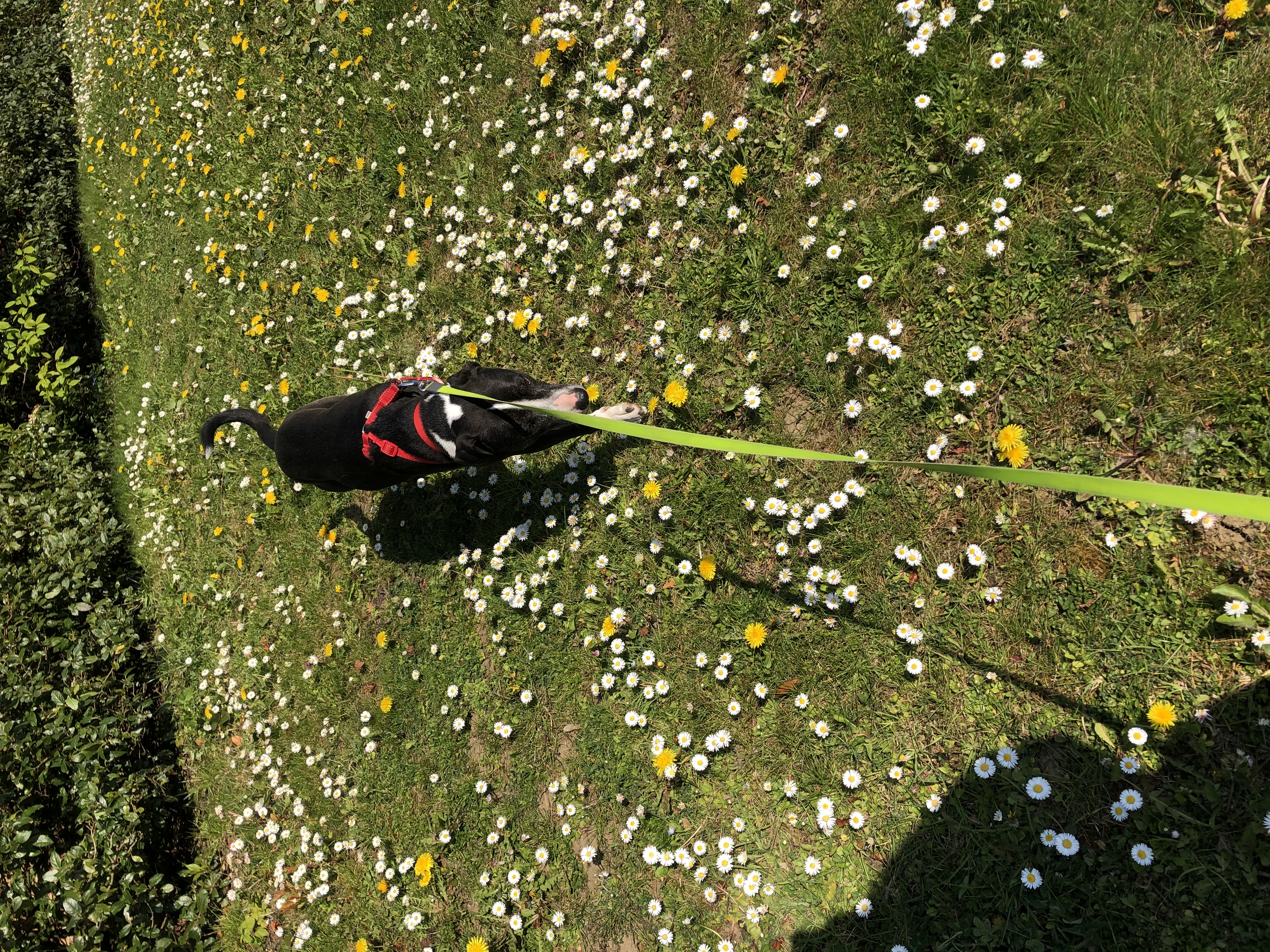 image-5