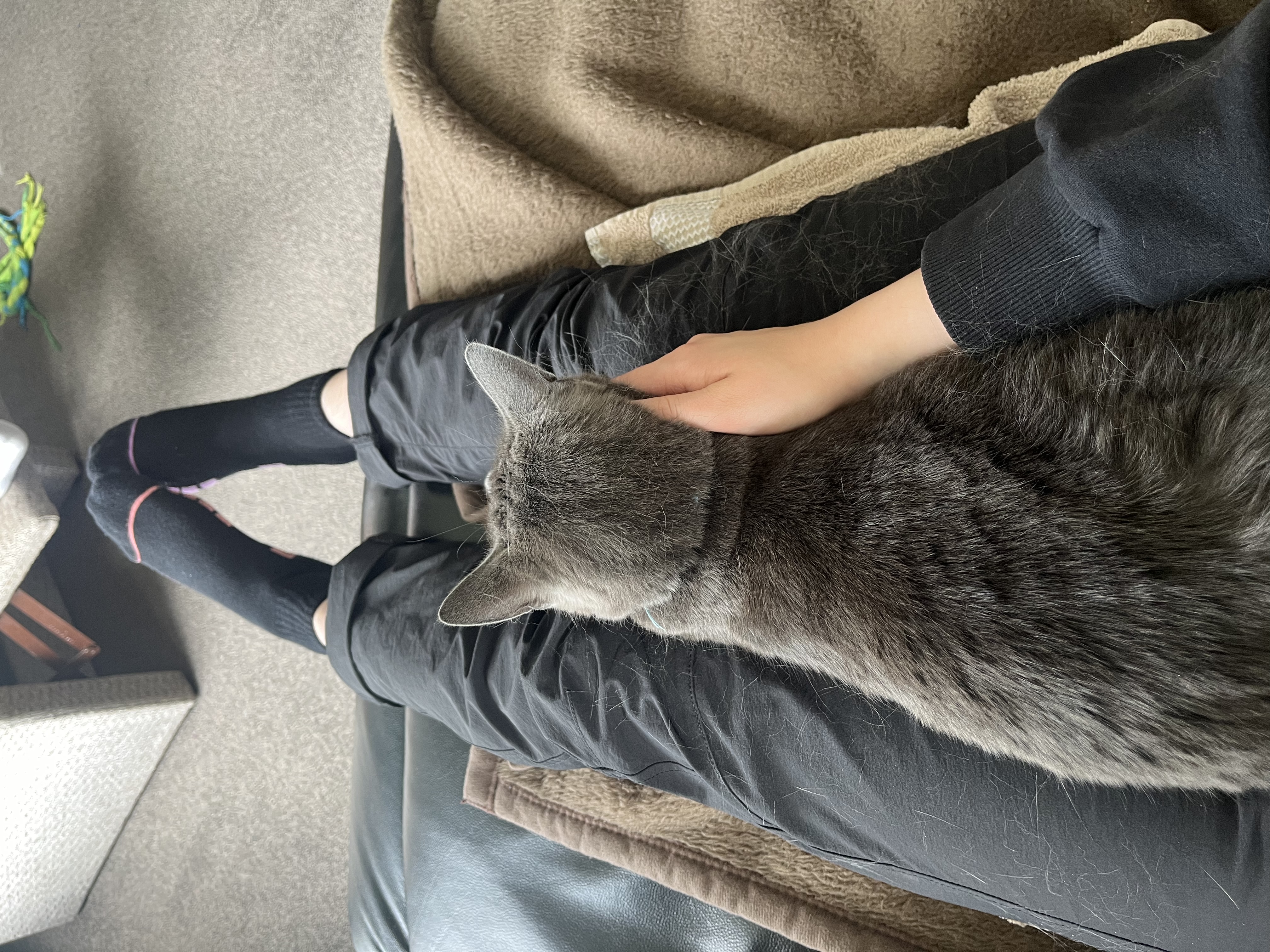image-10