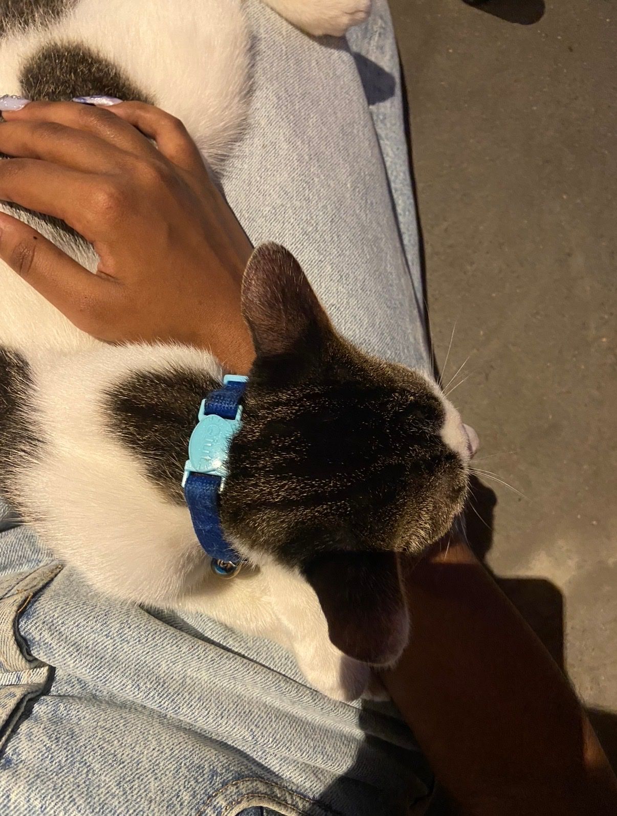 image-12