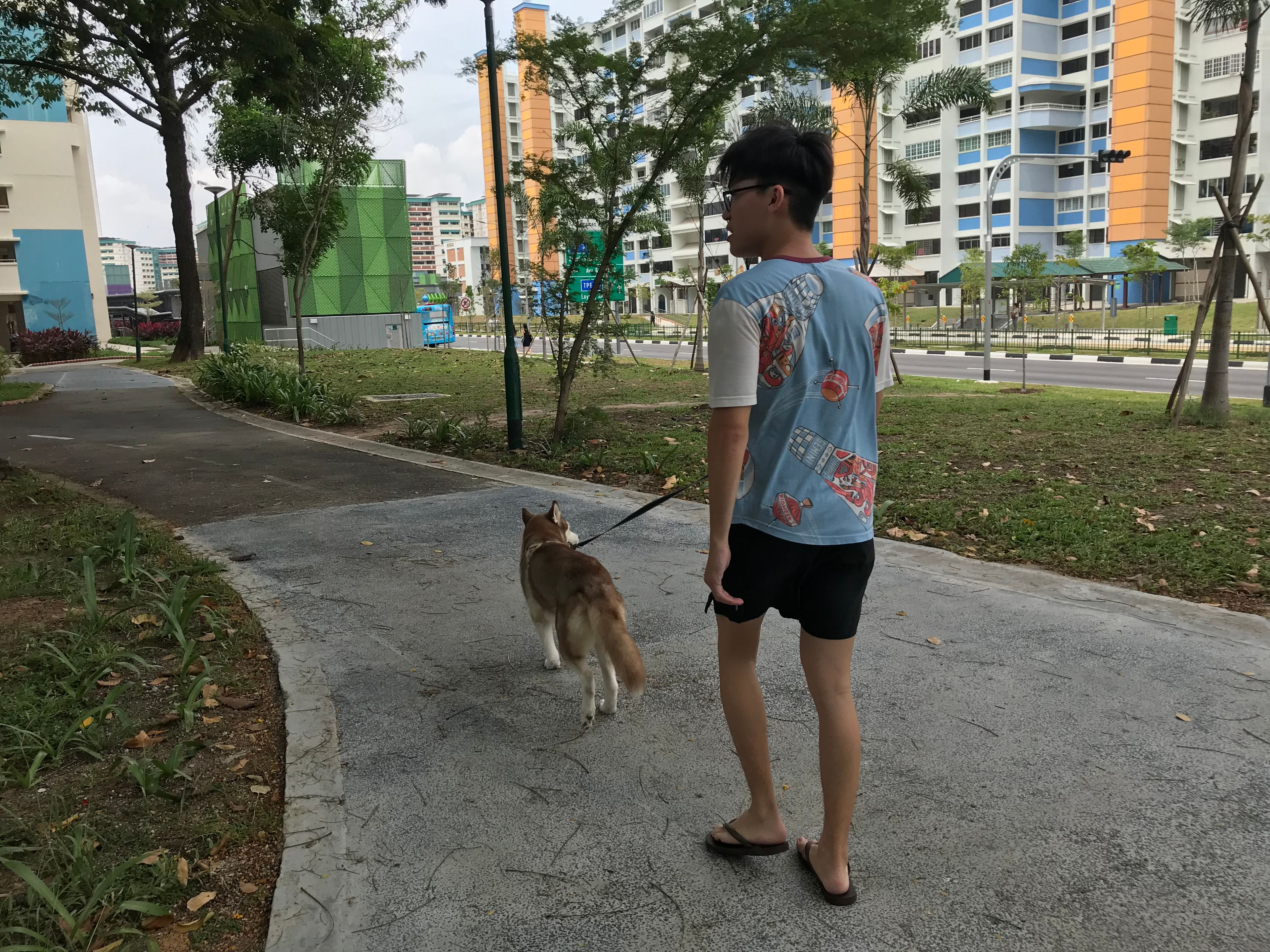 image-6