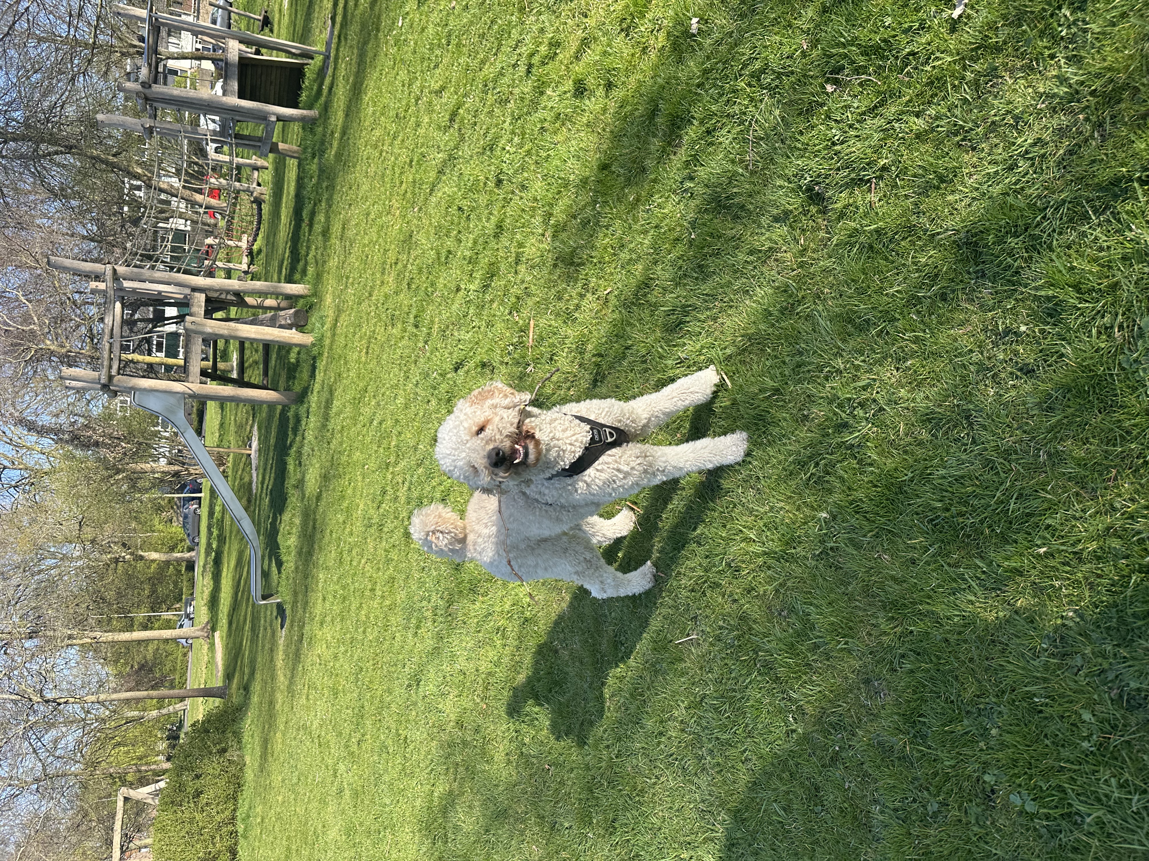 image-4