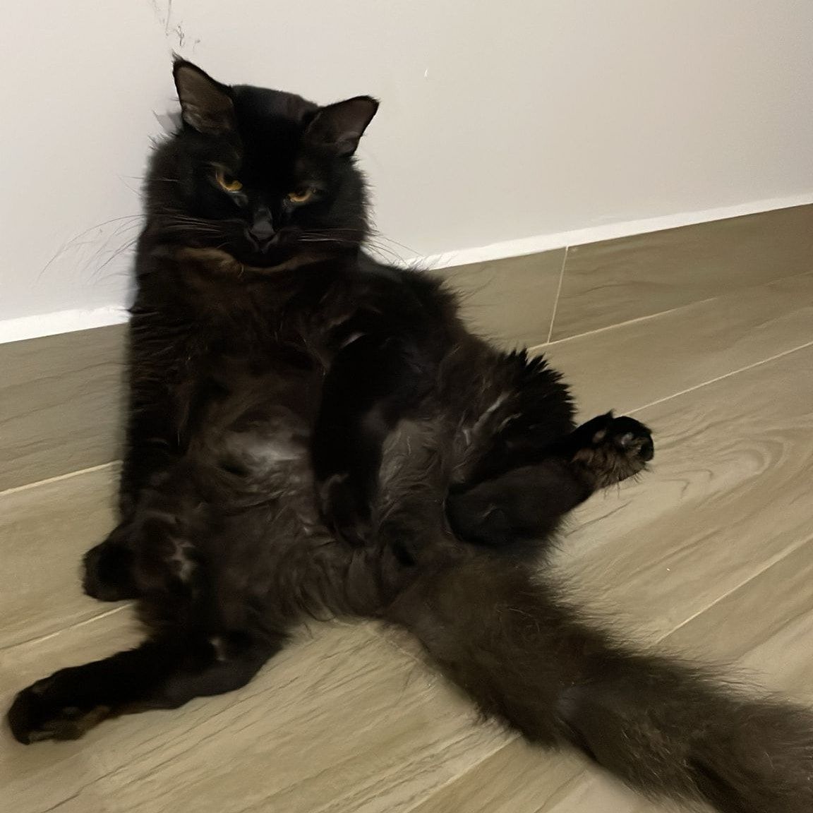 Mia