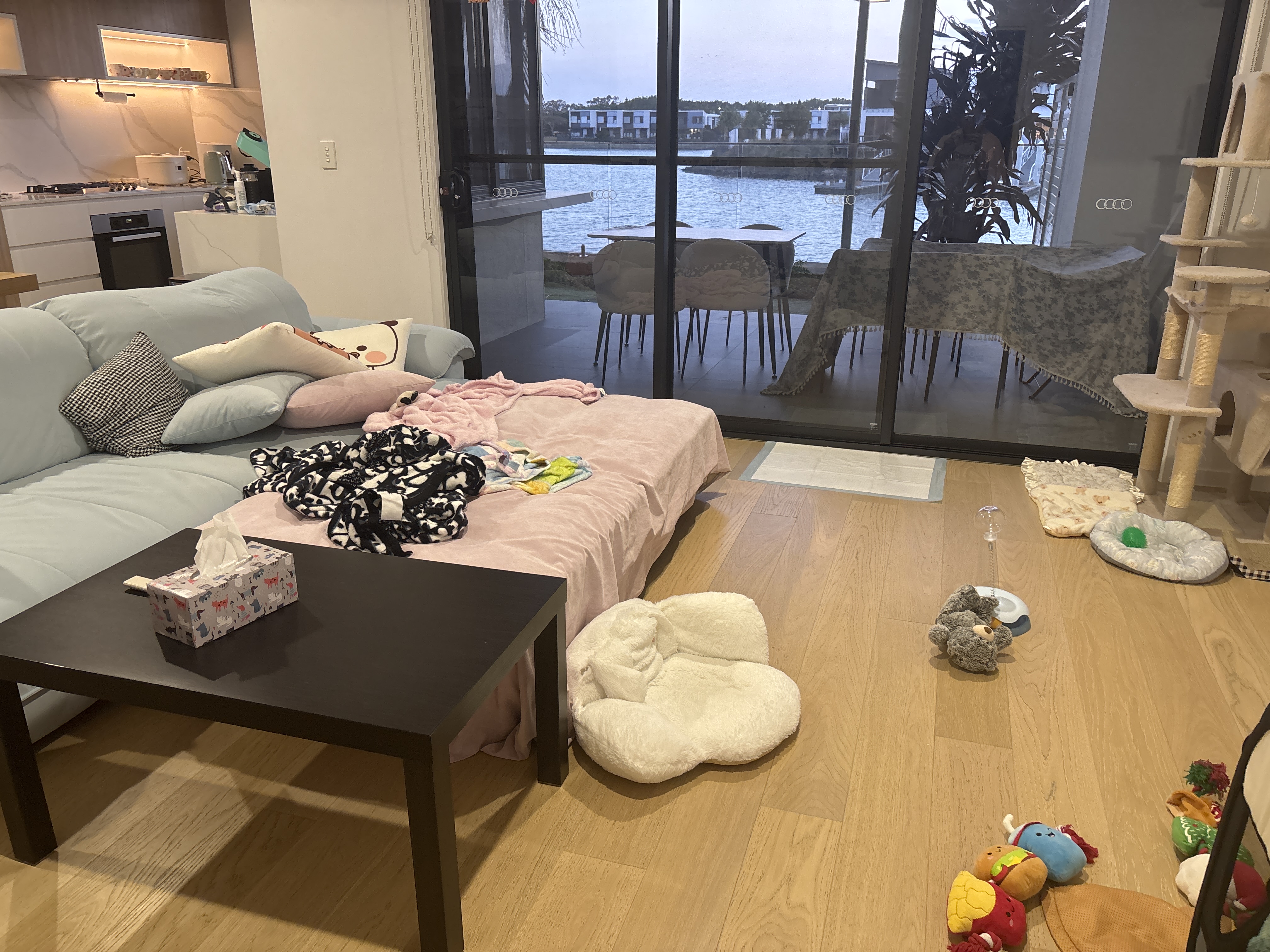 image-12