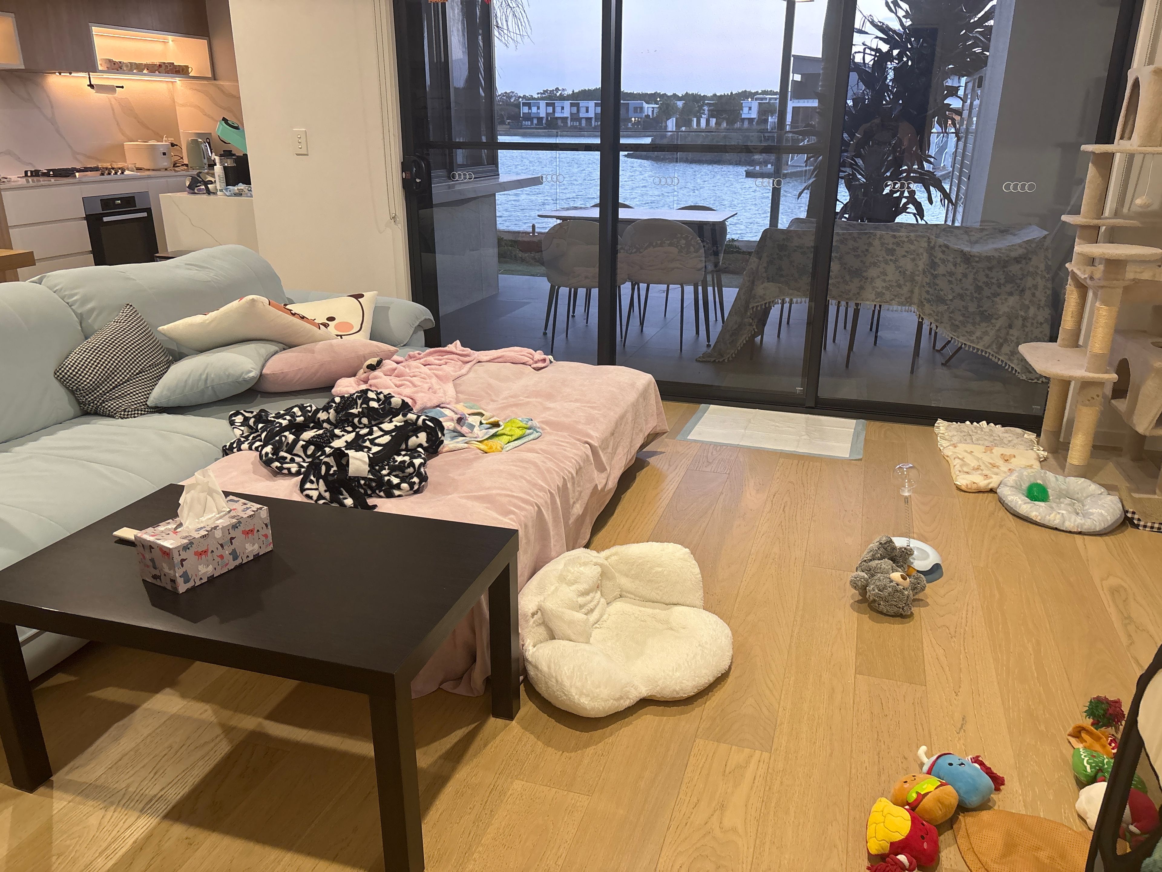image-12