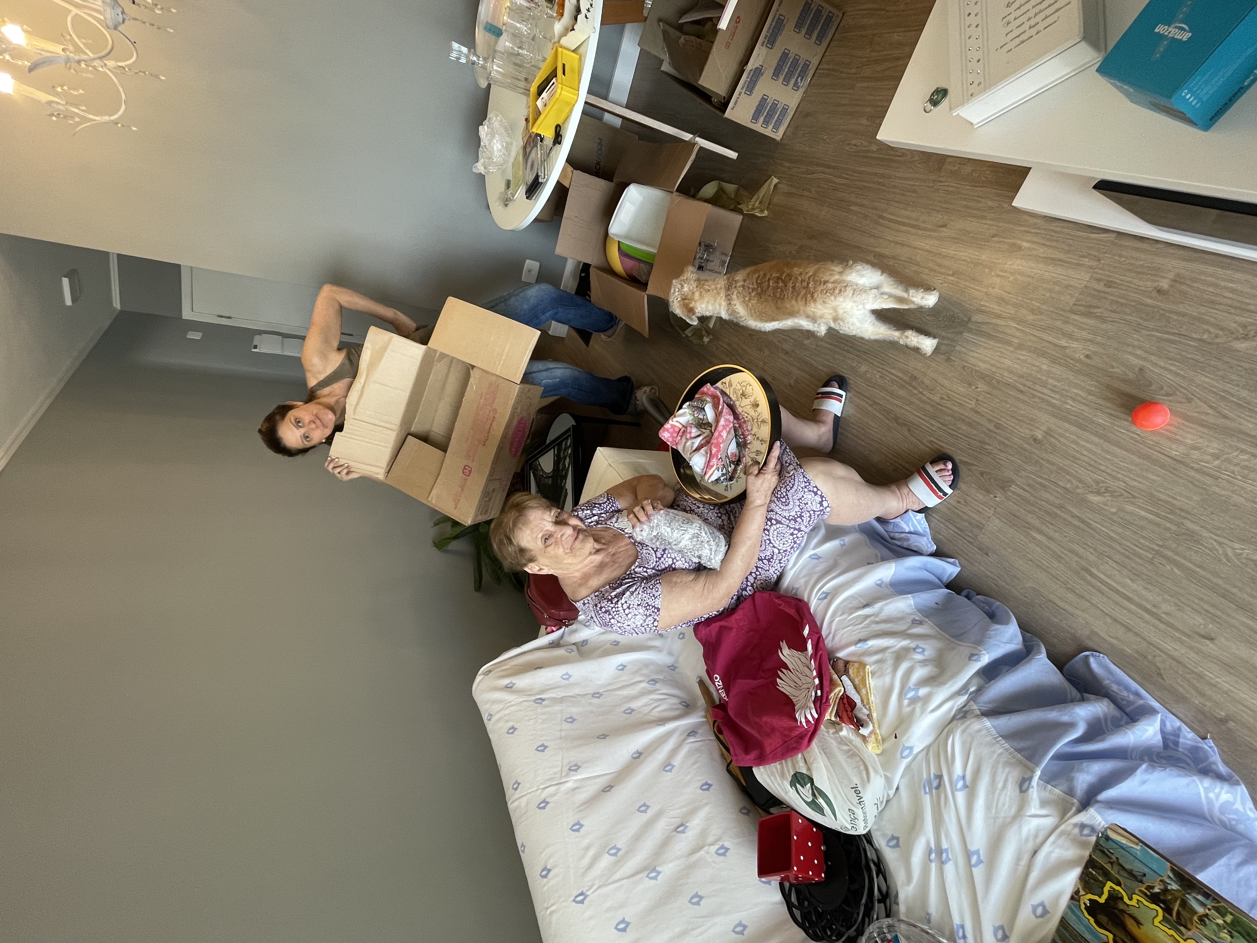 image-19