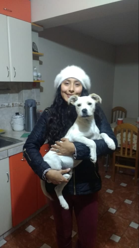image-4