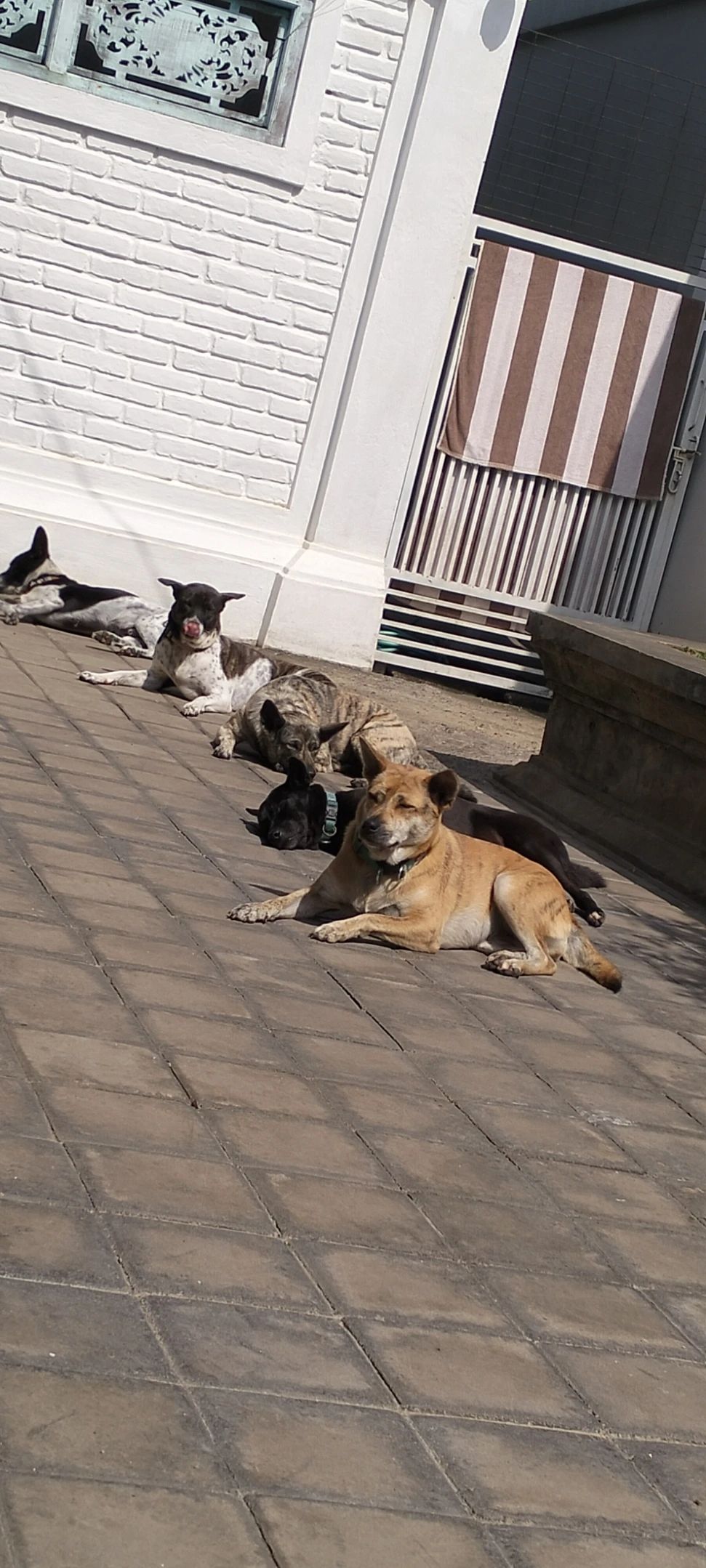 image-13