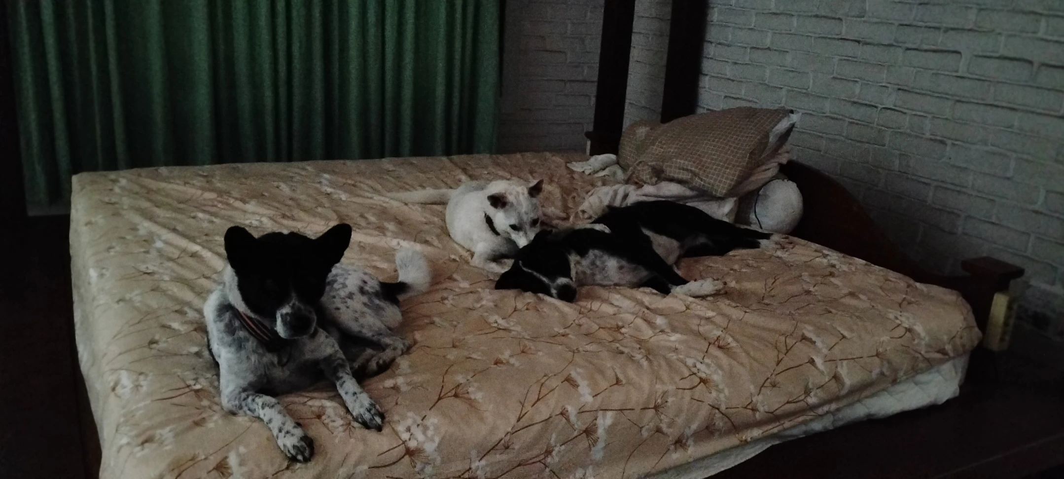 image-6
