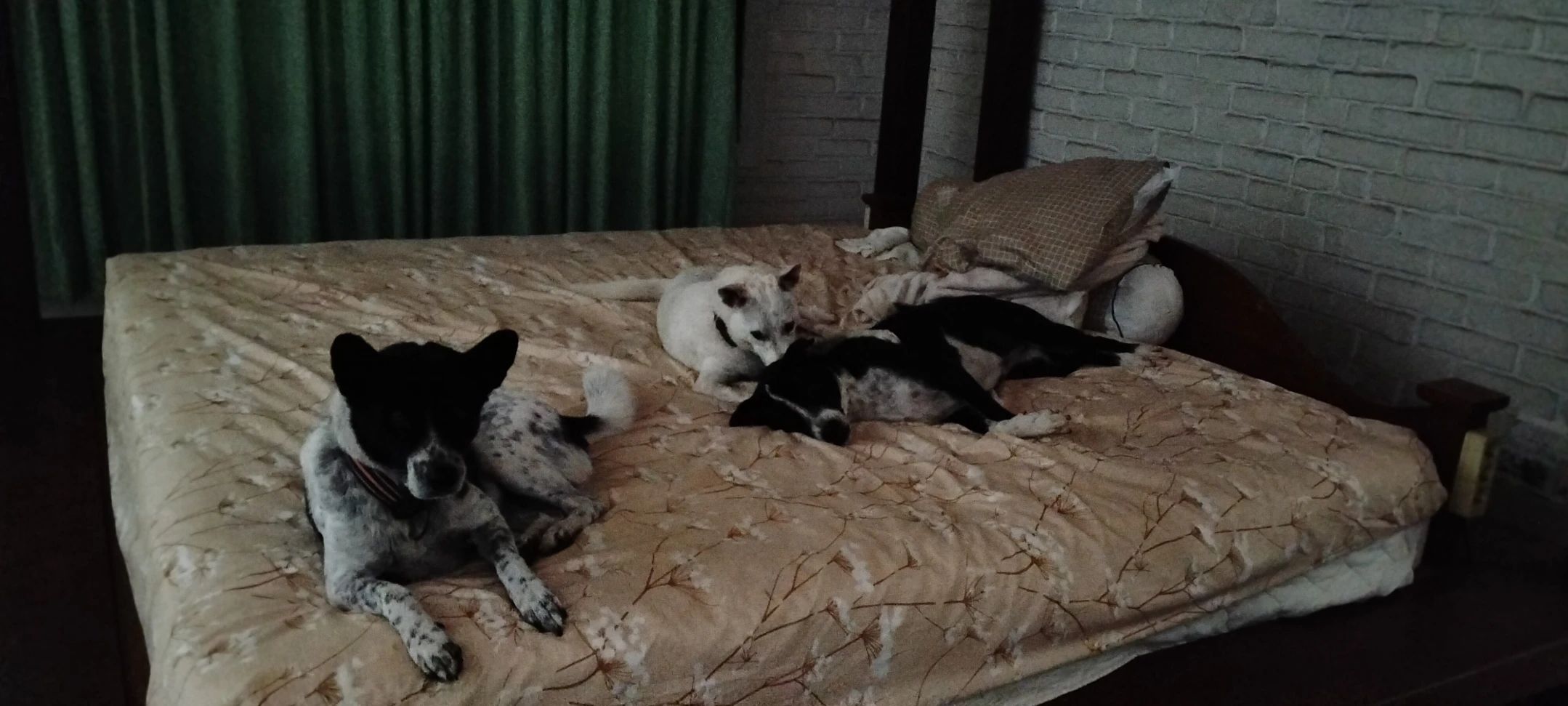 image-6