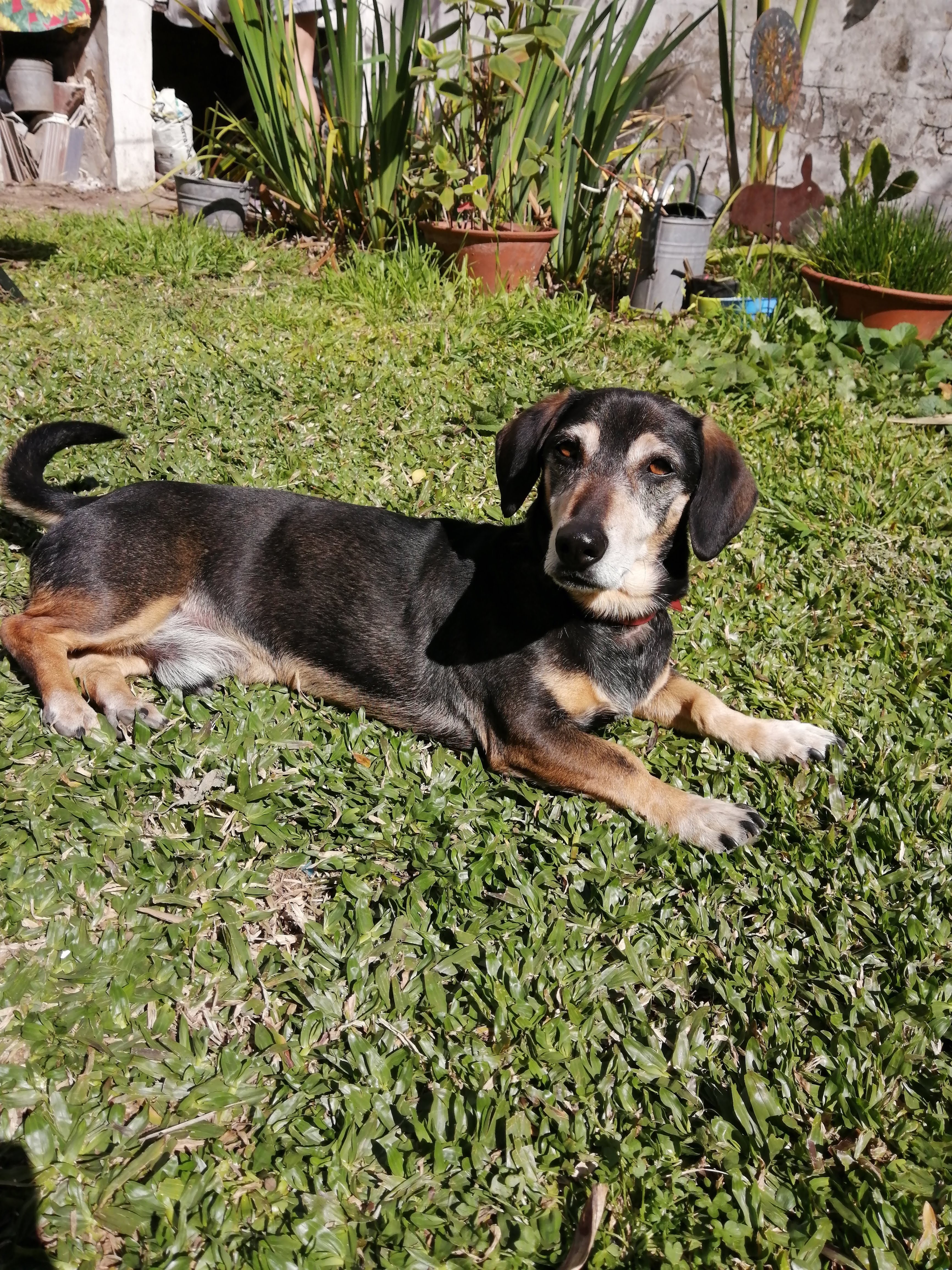 image-8