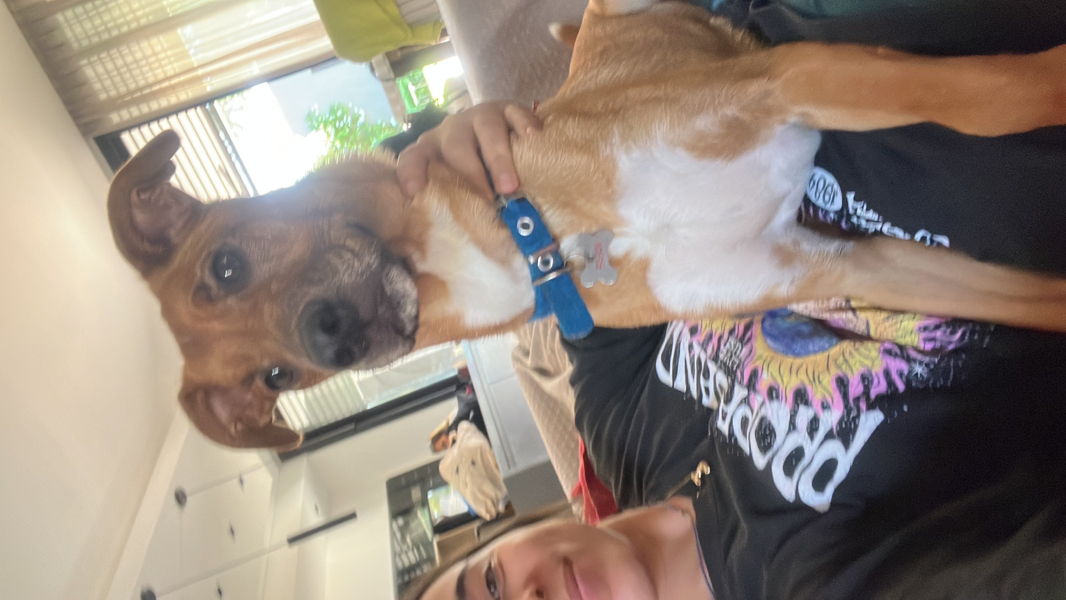 image-14