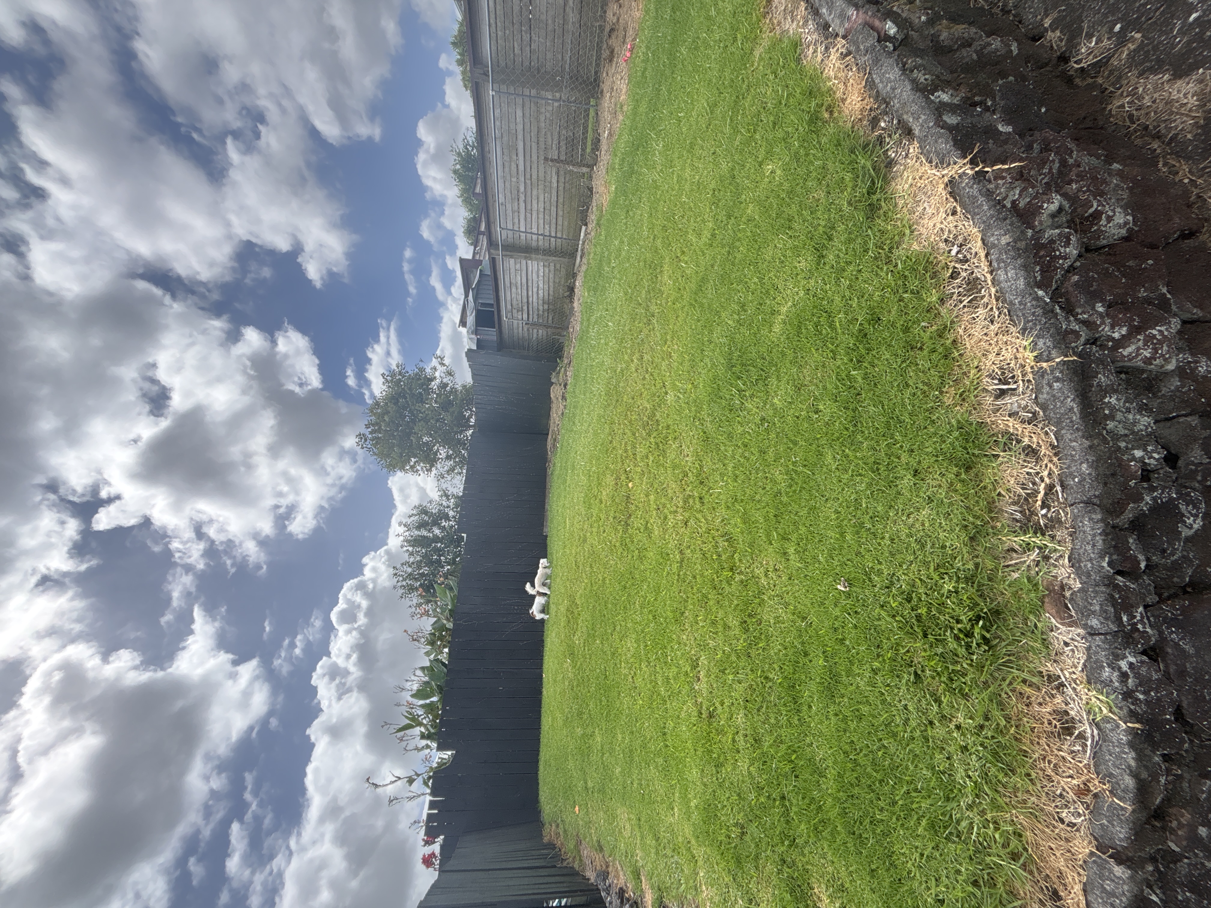 image-16