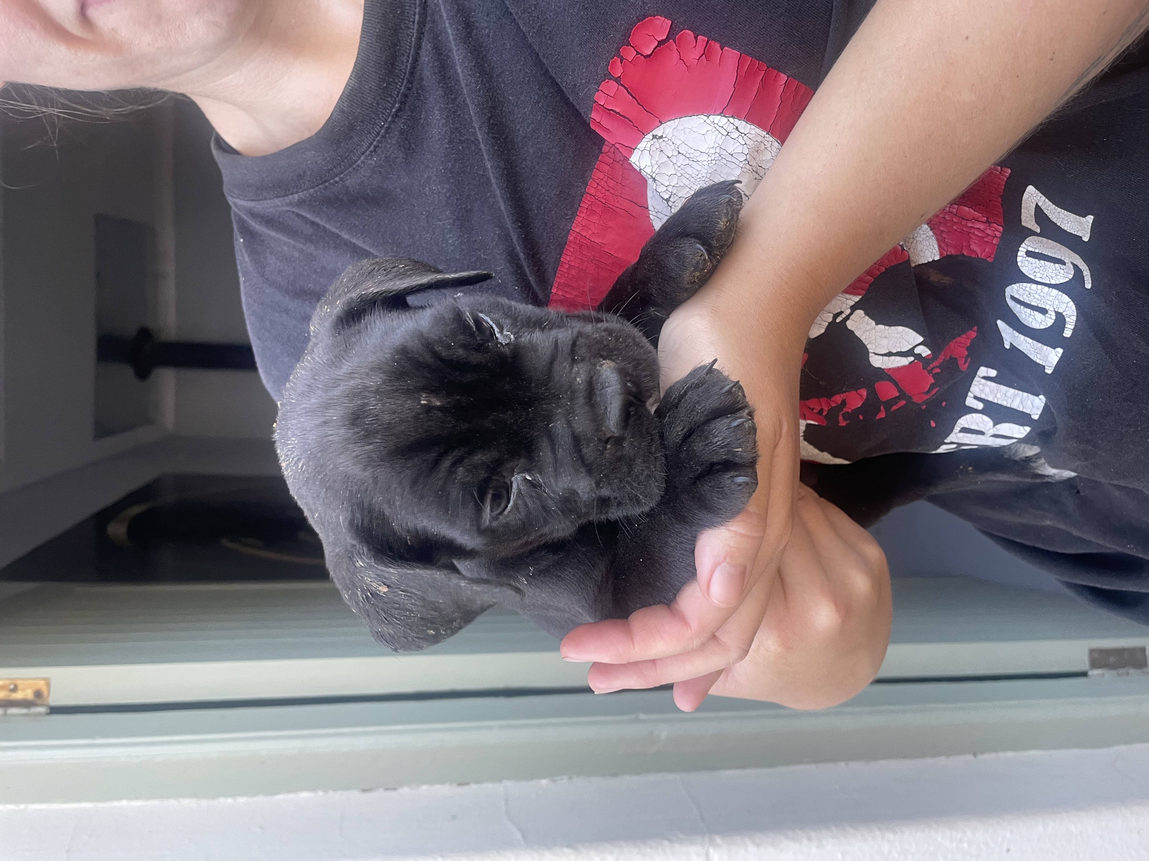 image-8