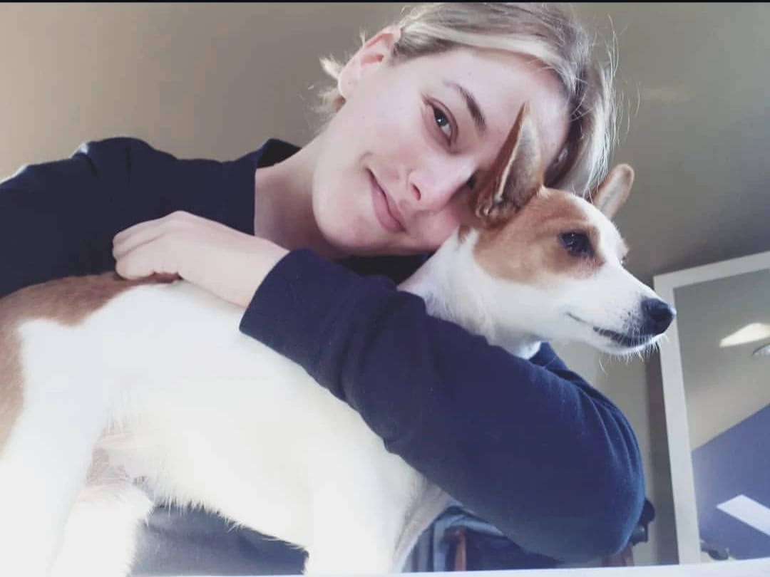 image-12