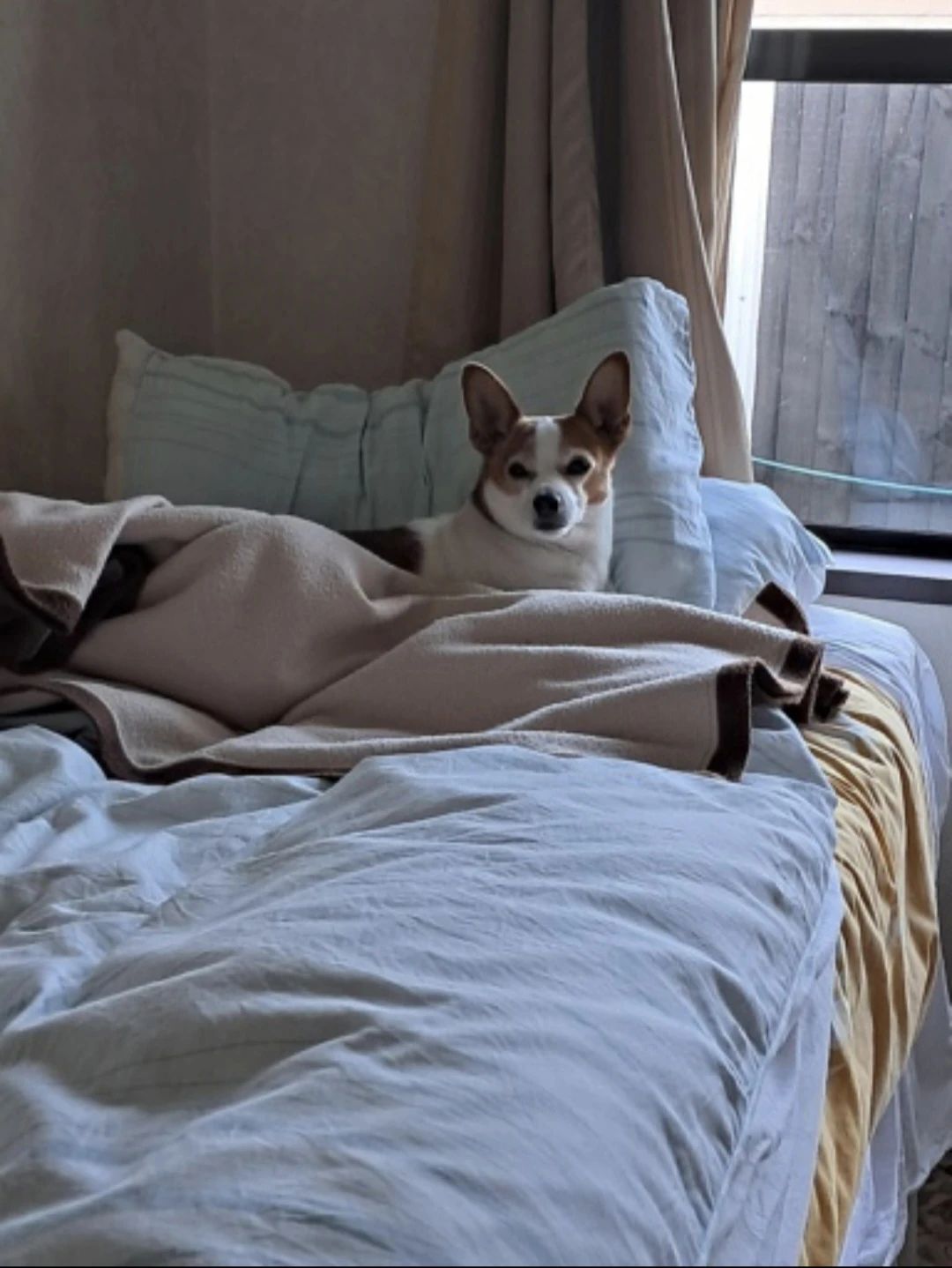 image-6
