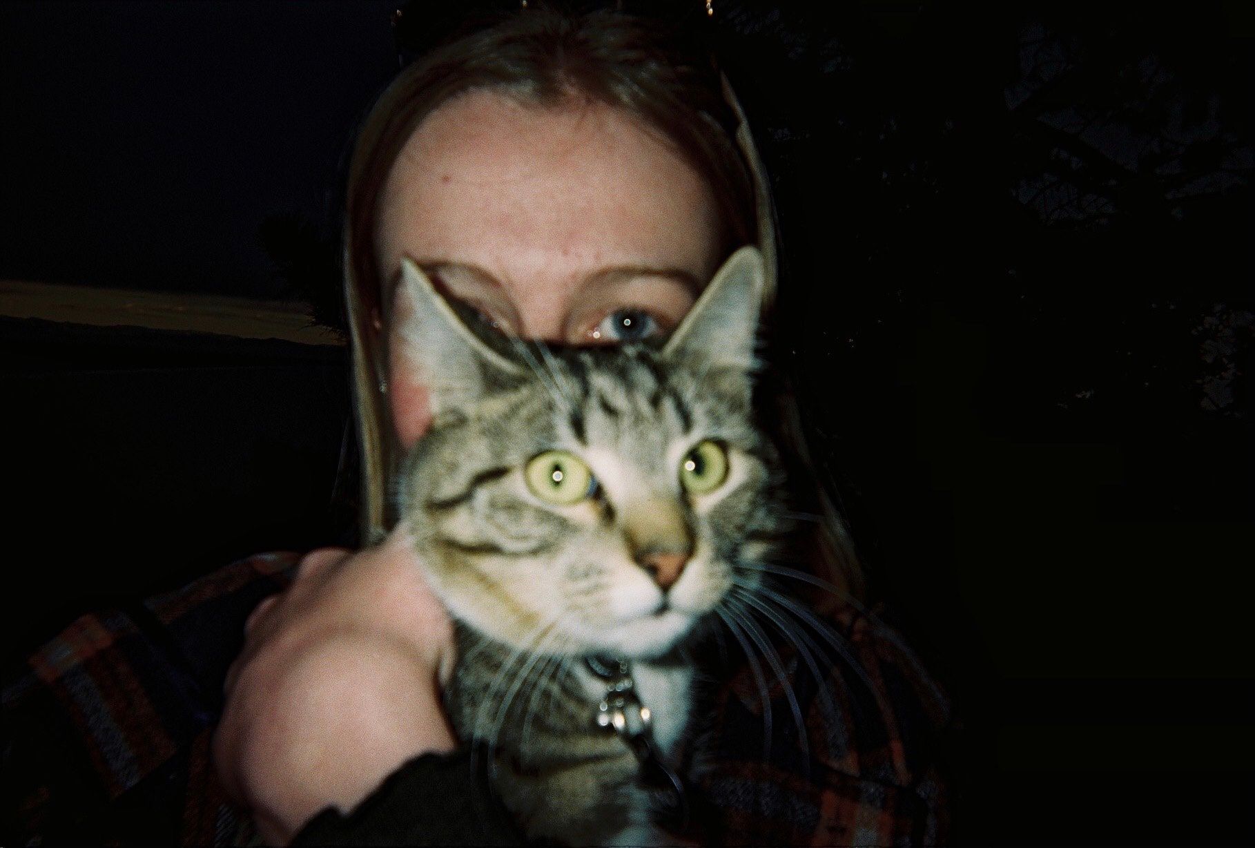 image-8
