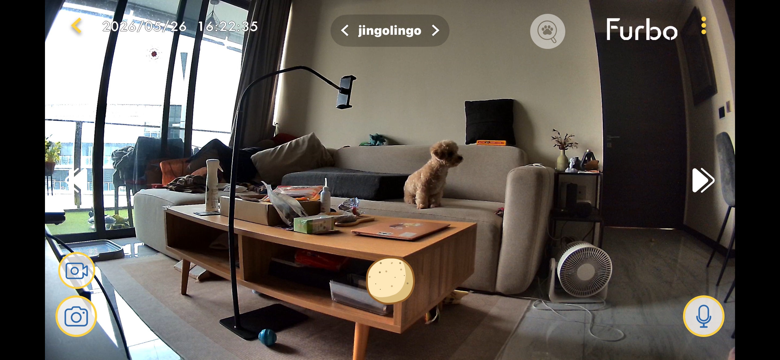 image-9