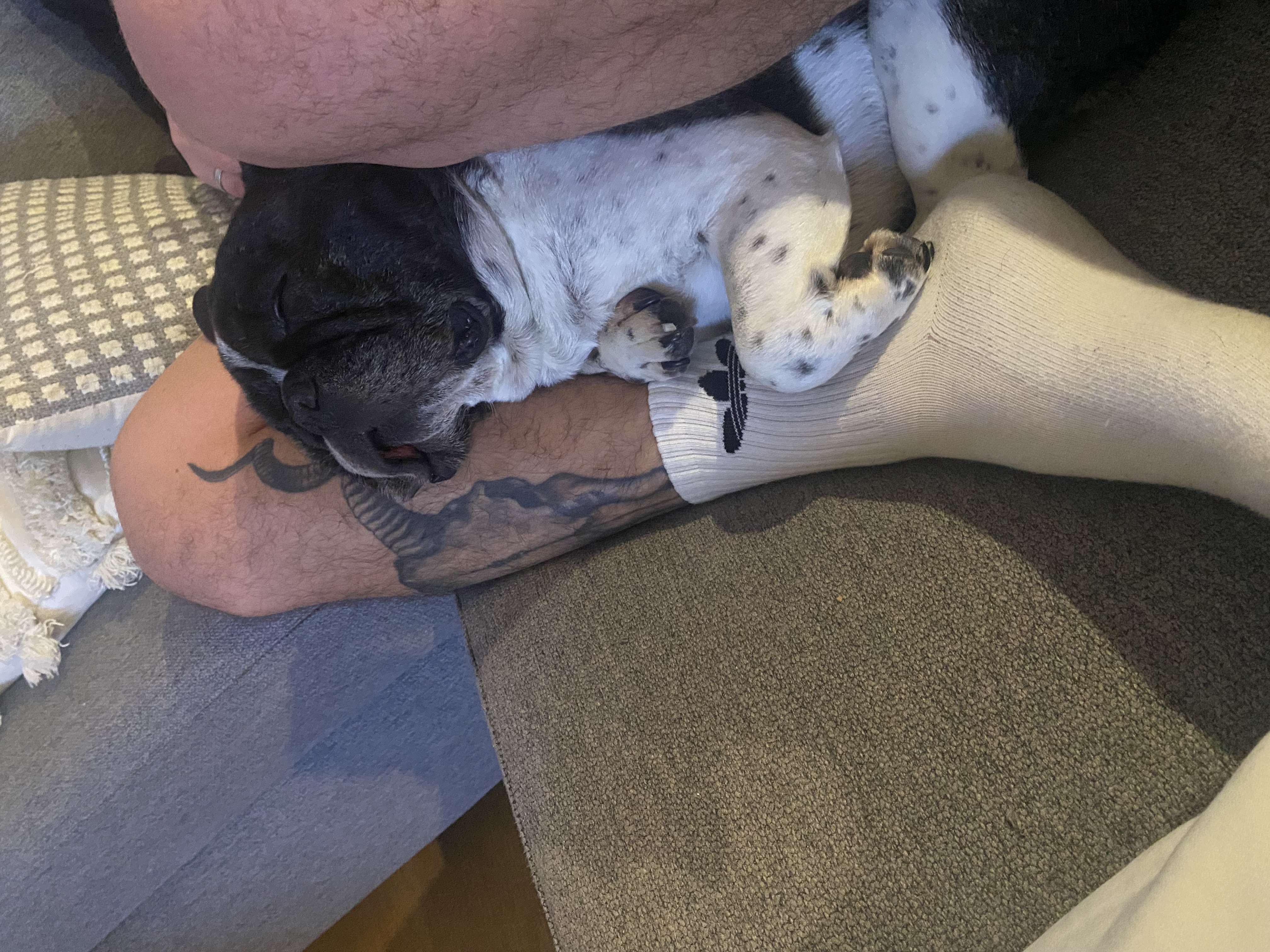 image-5
