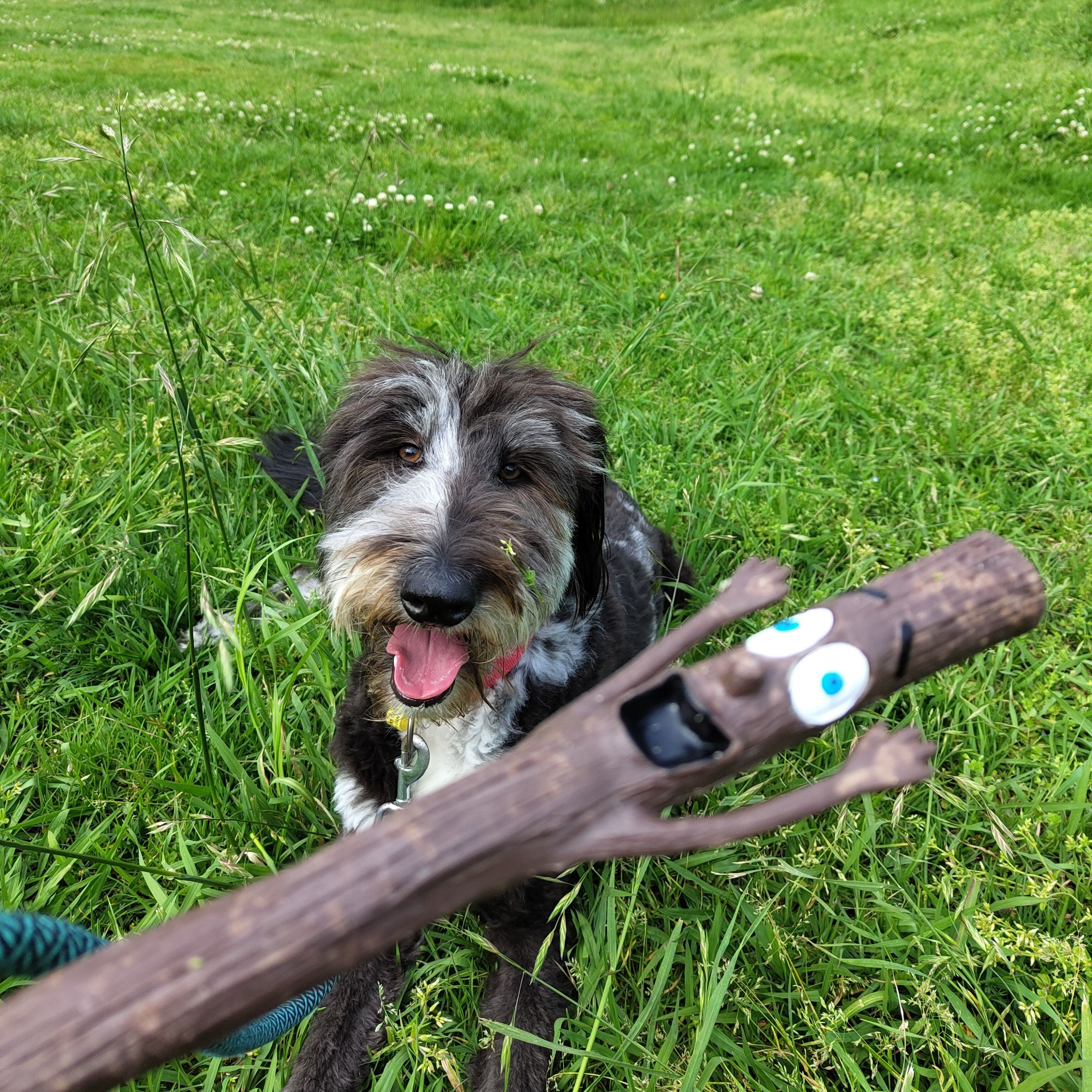 Millie