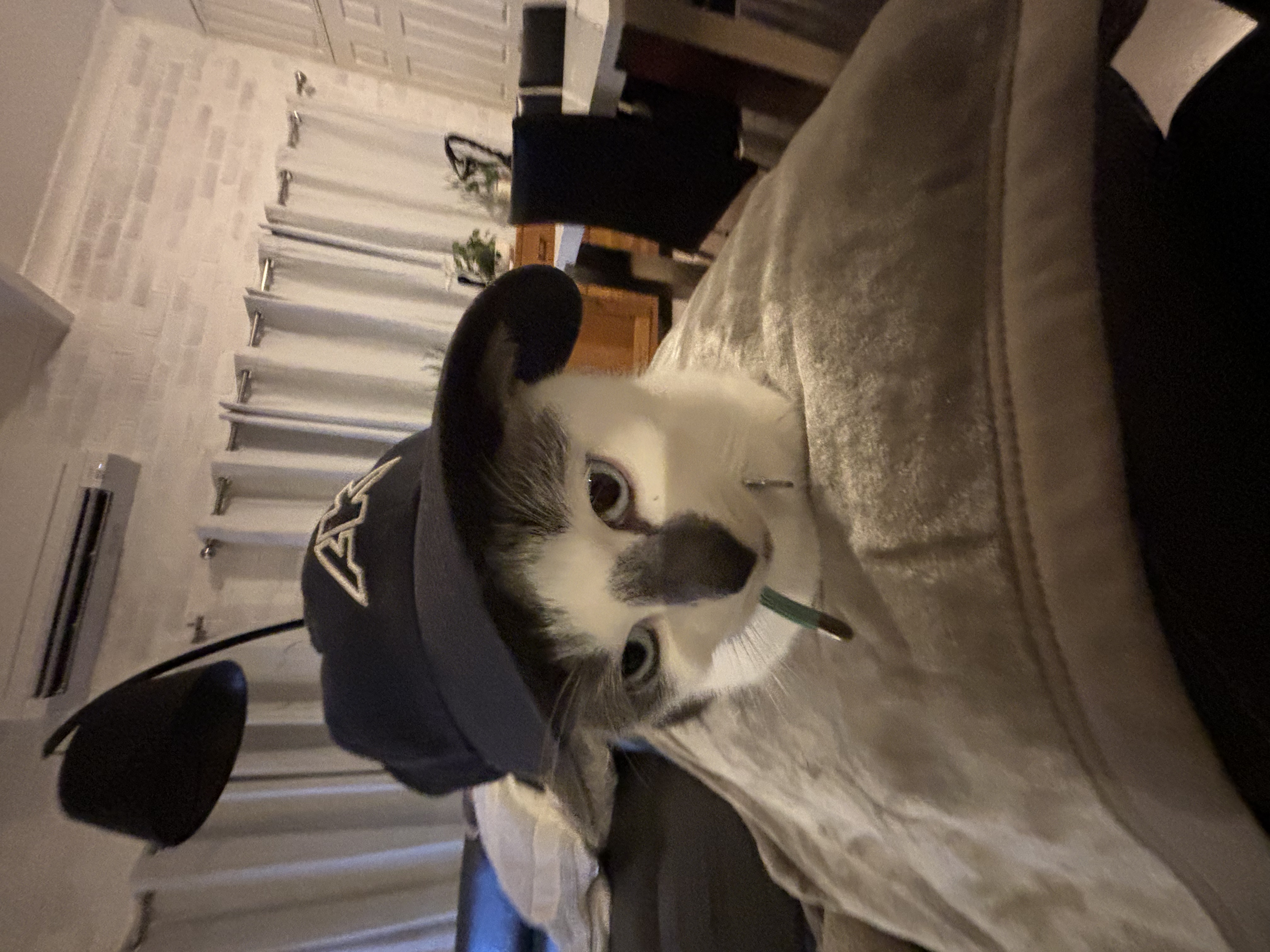 image-9