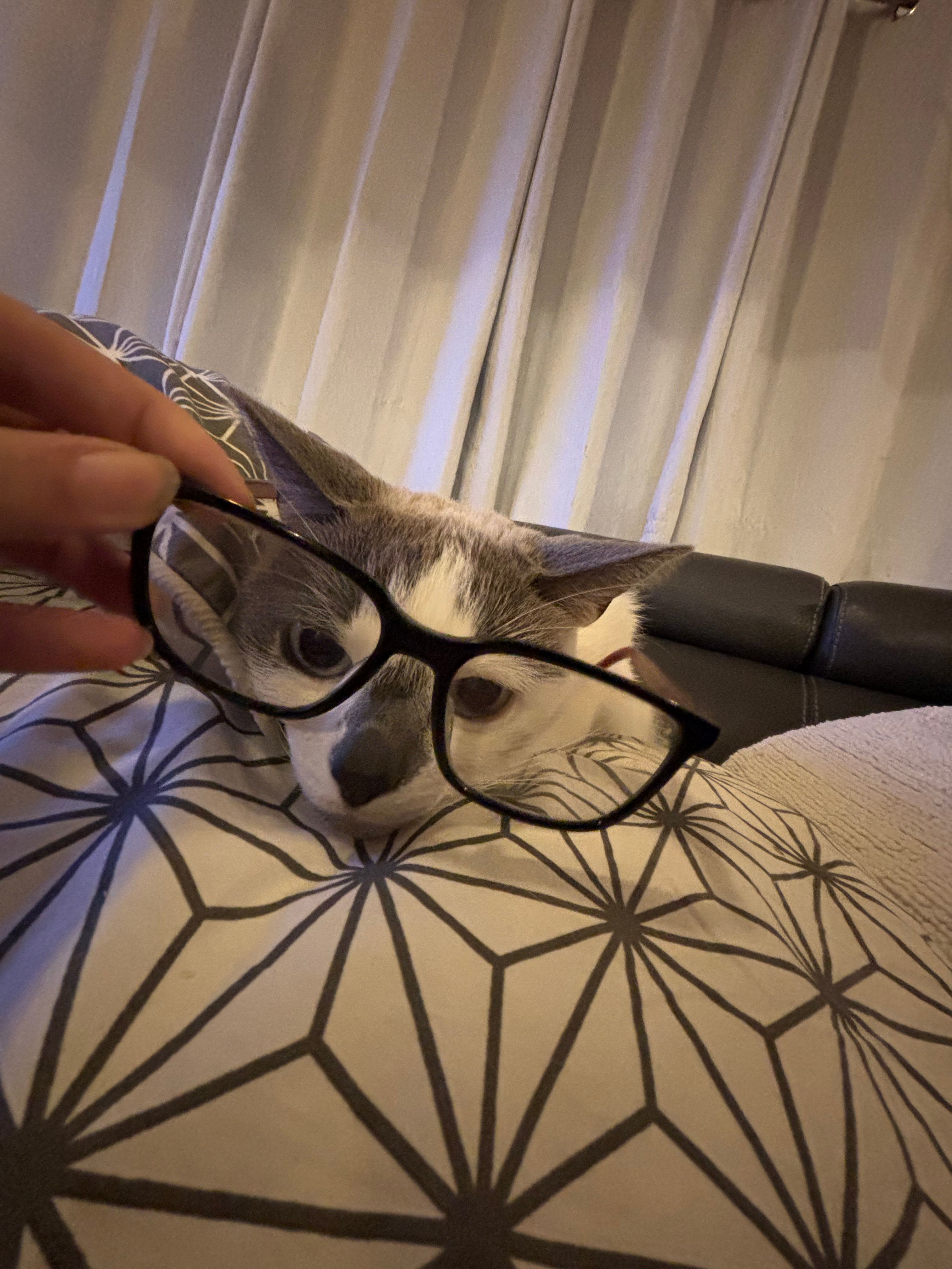 image-8