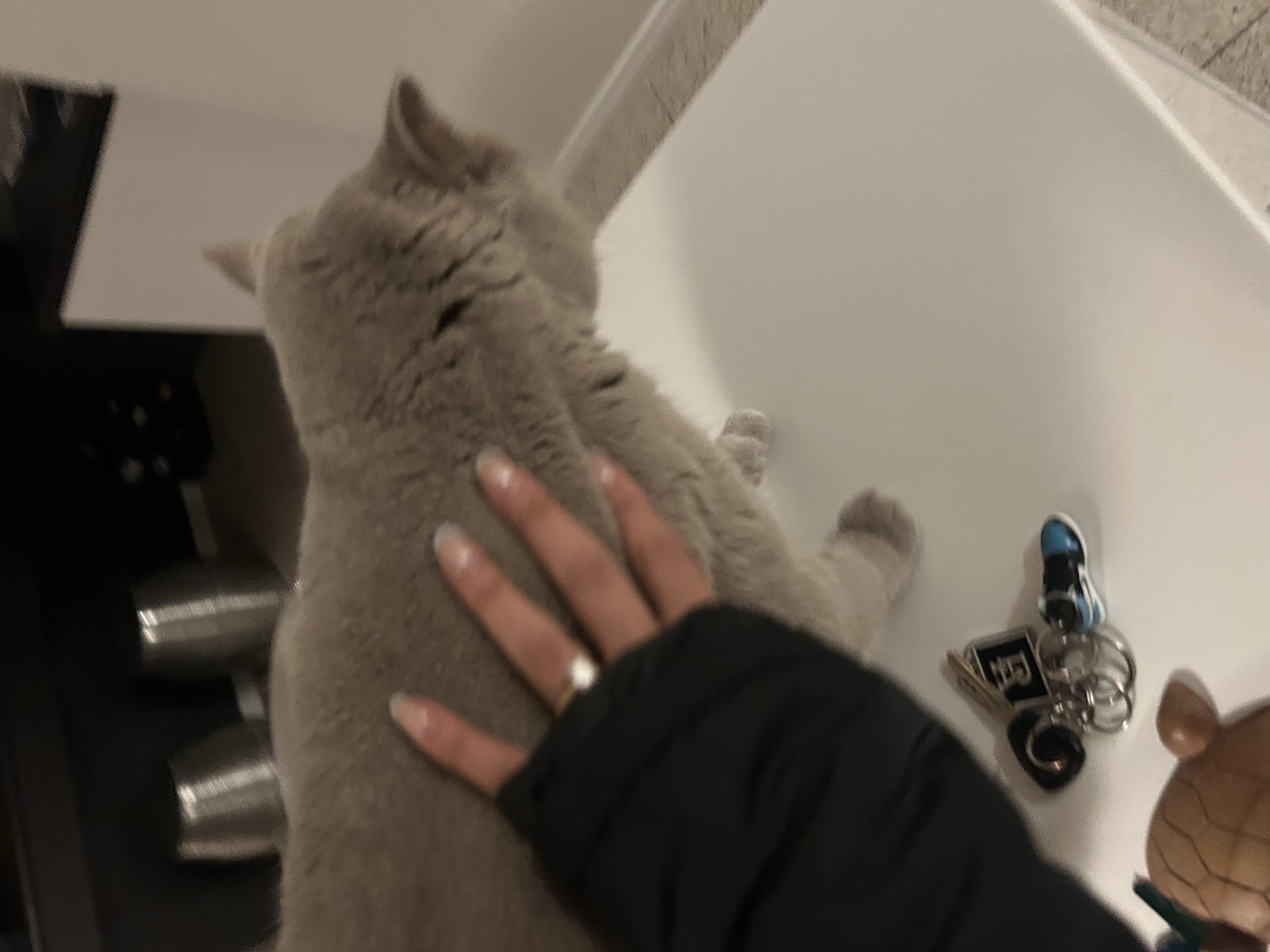 image-16