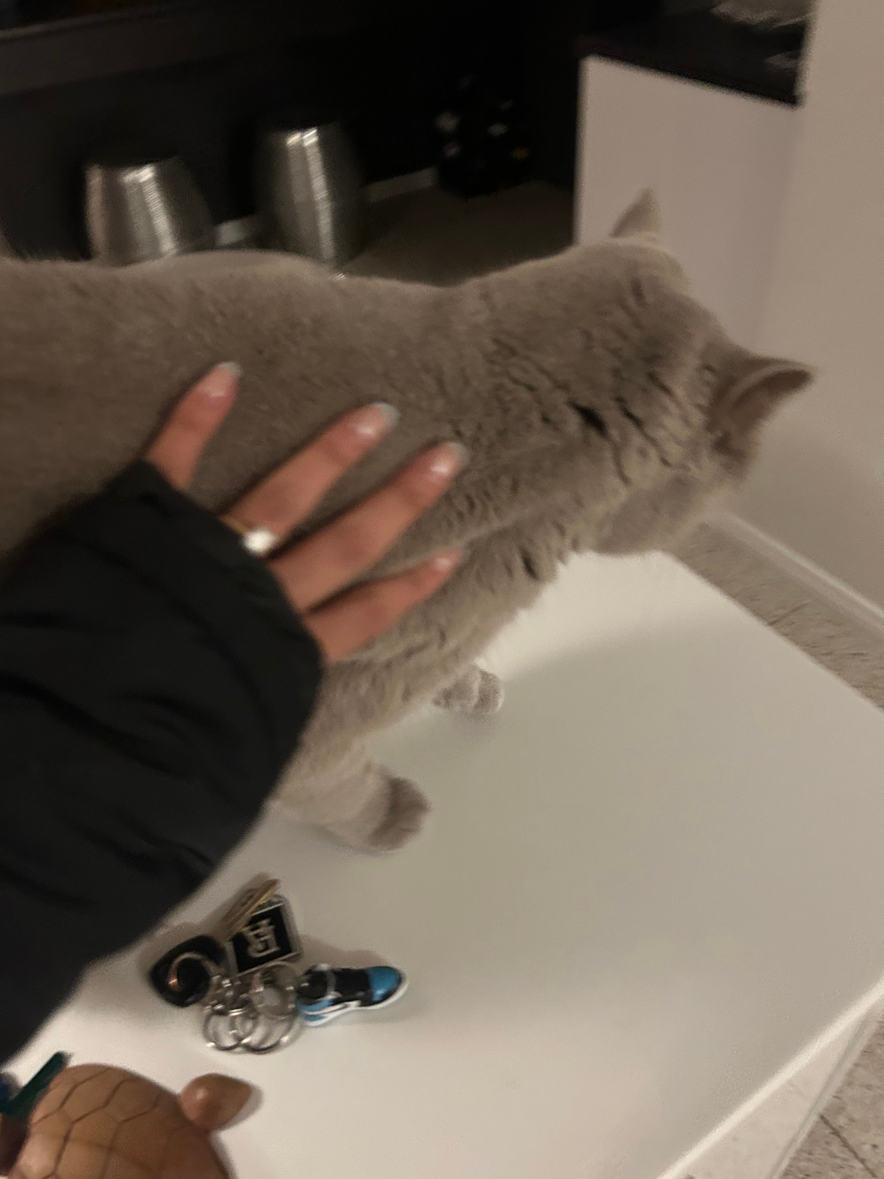image-16