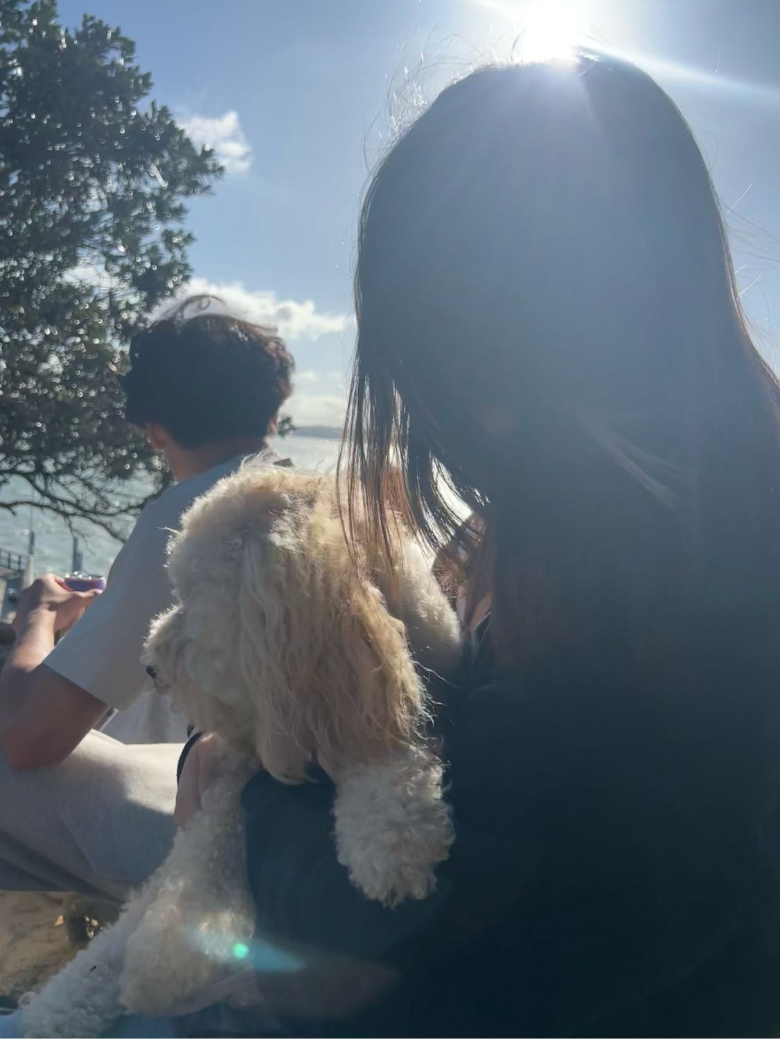 image-2
