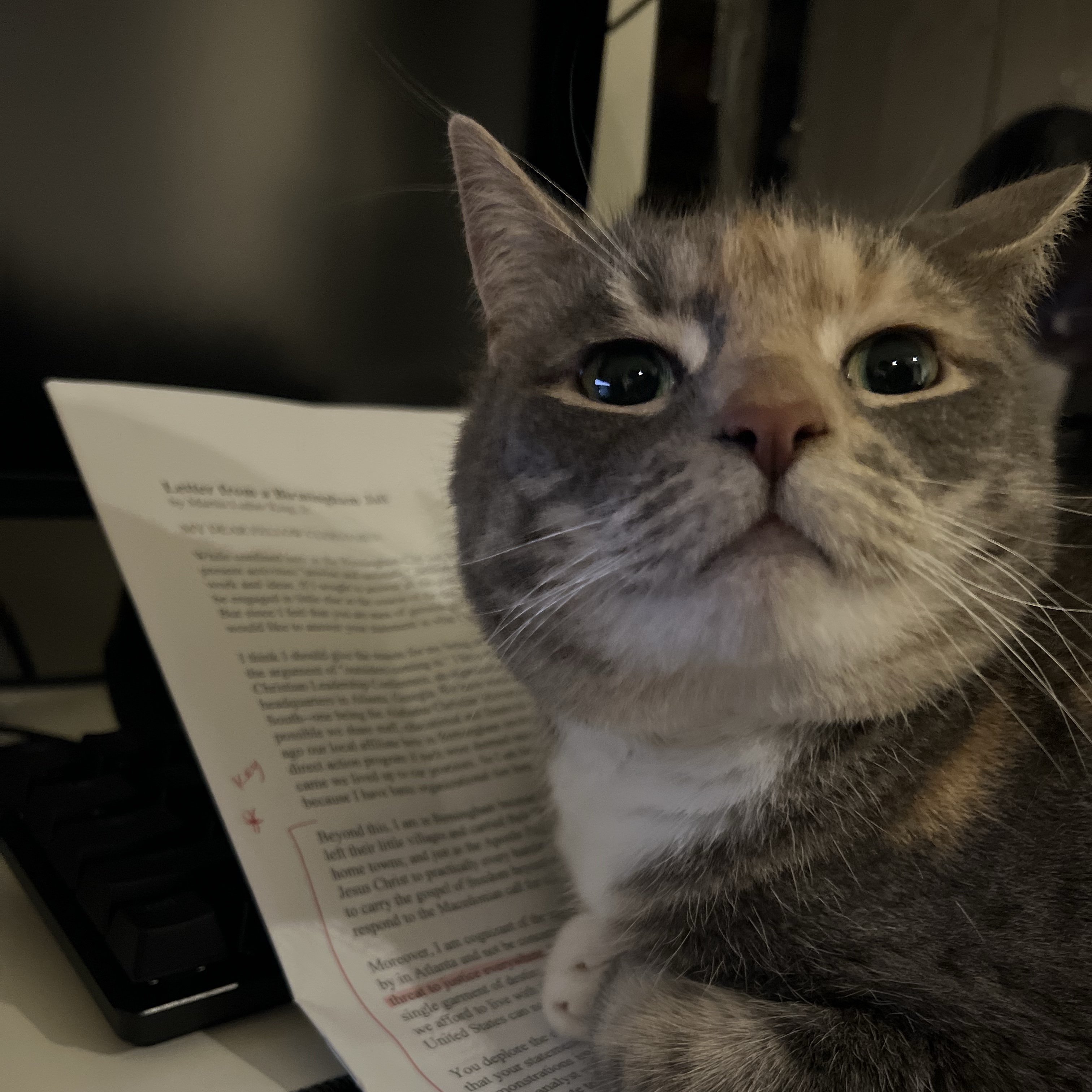 Luna