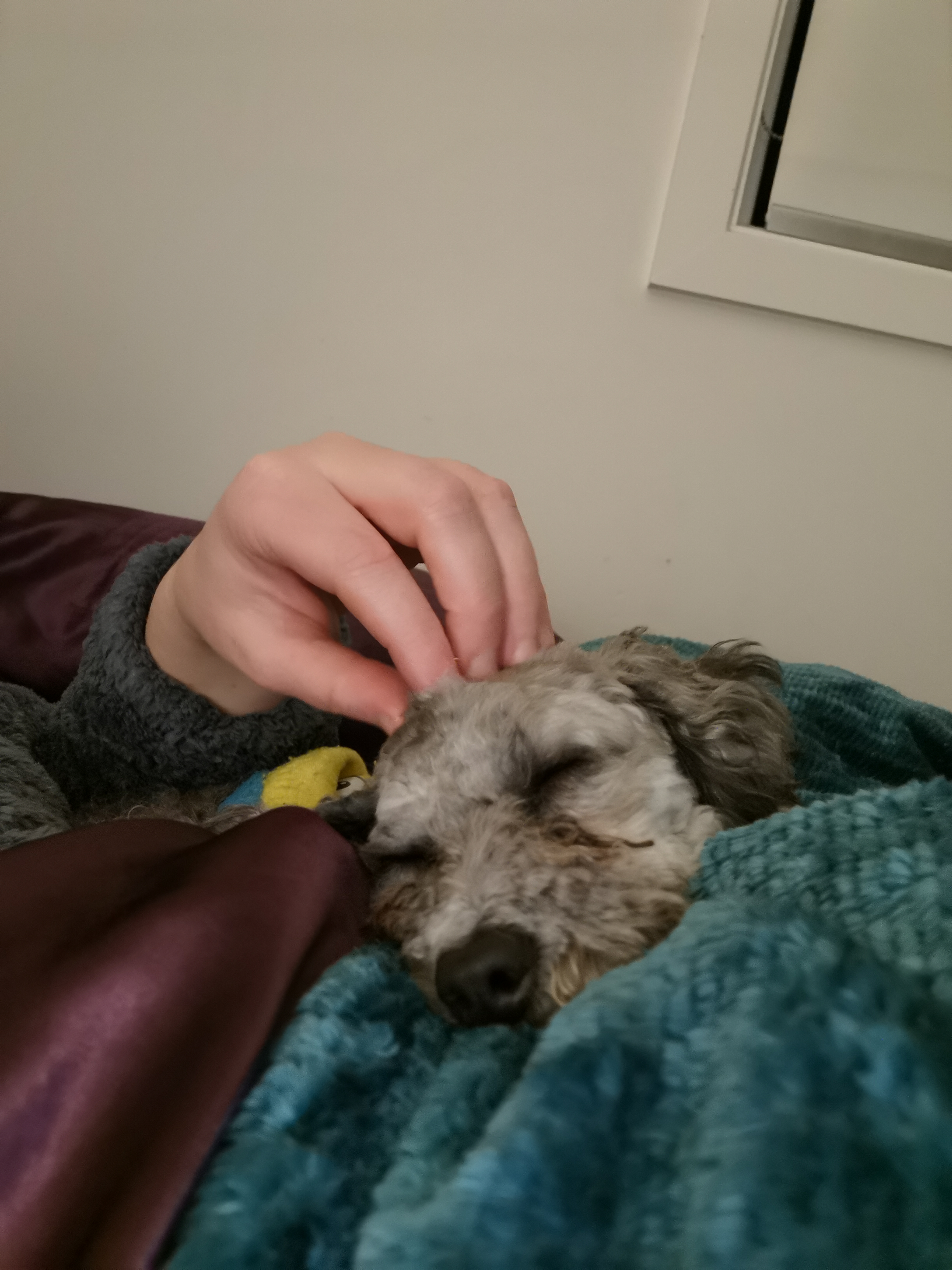 image-7