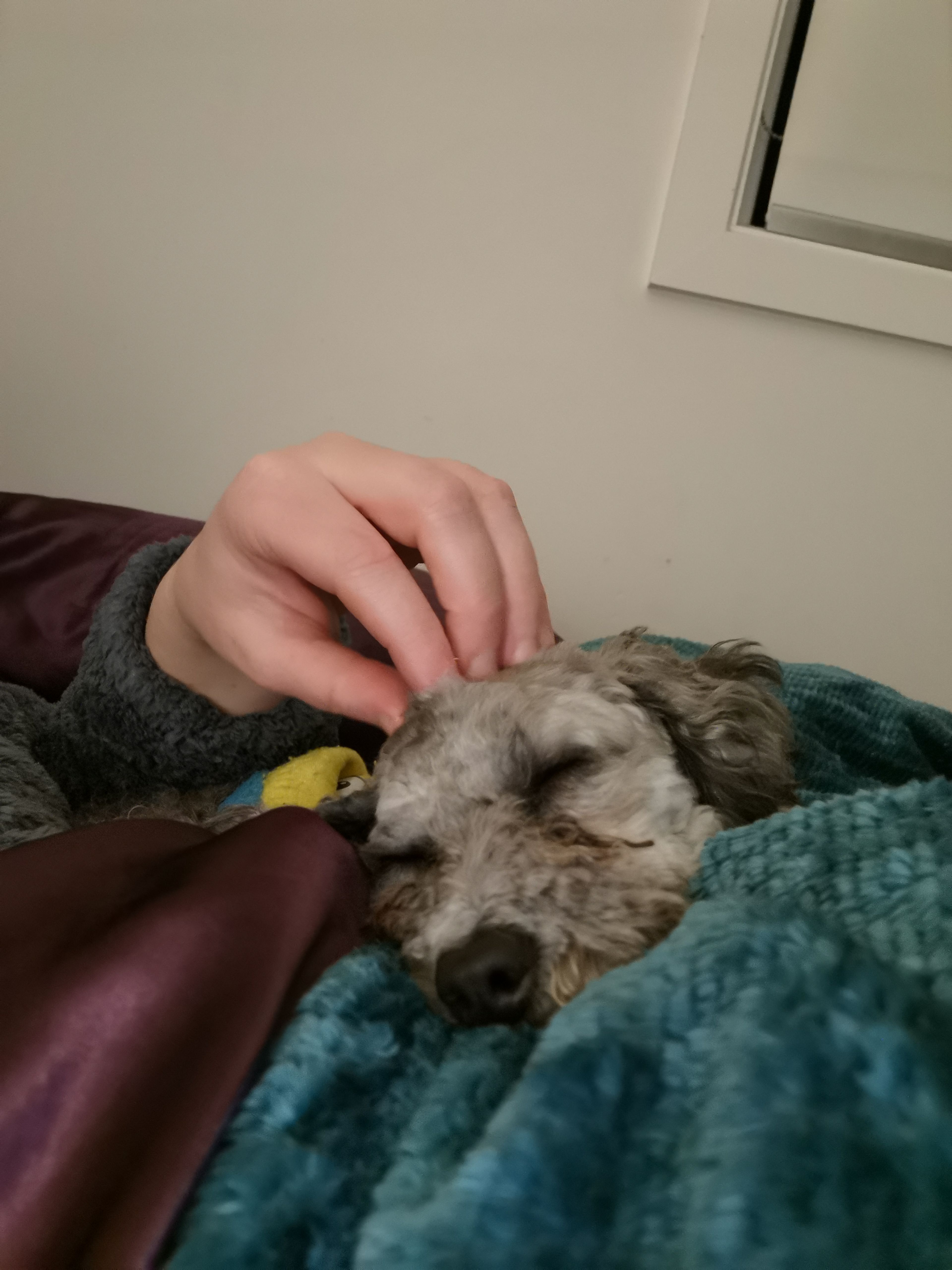 image-7