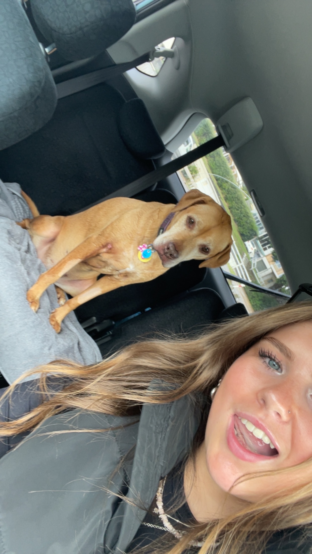image-4