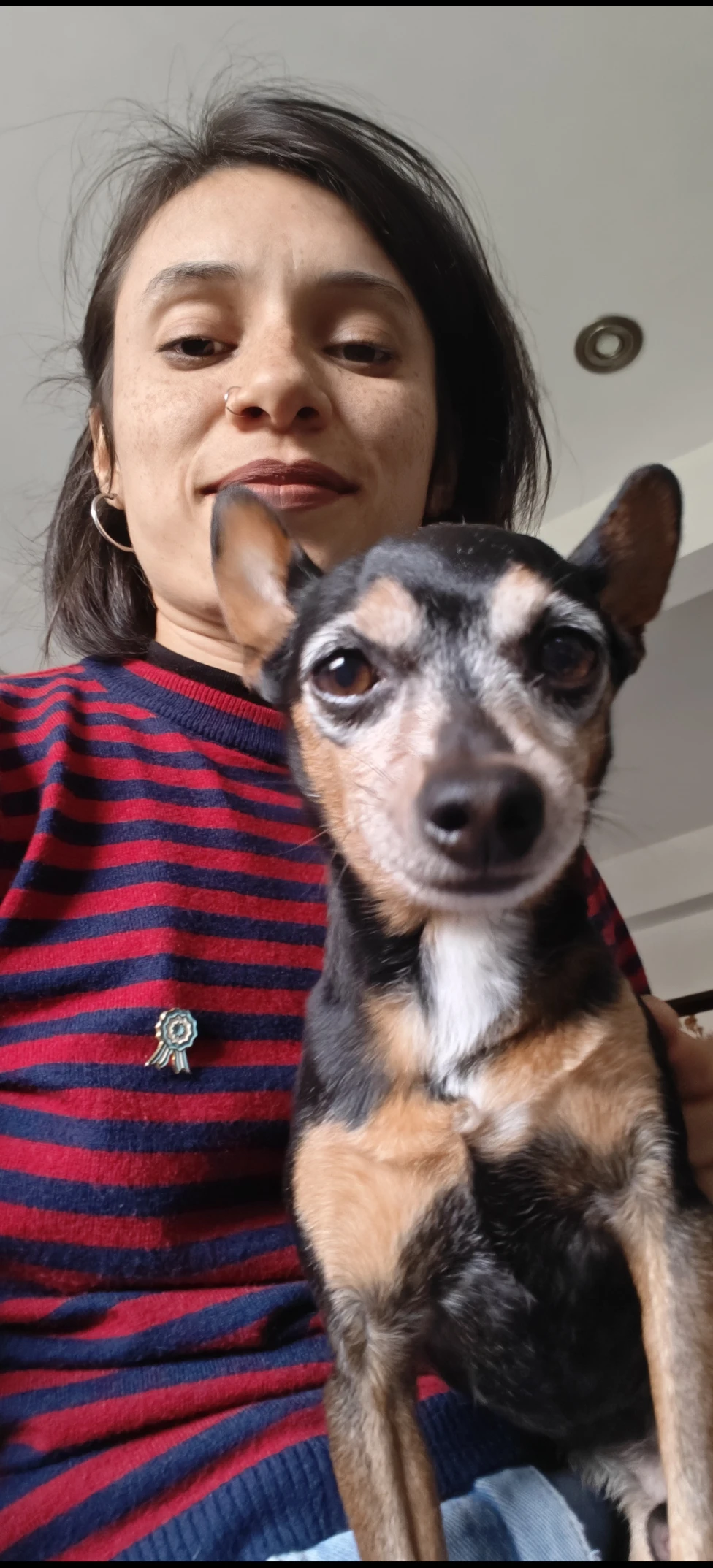 image-6