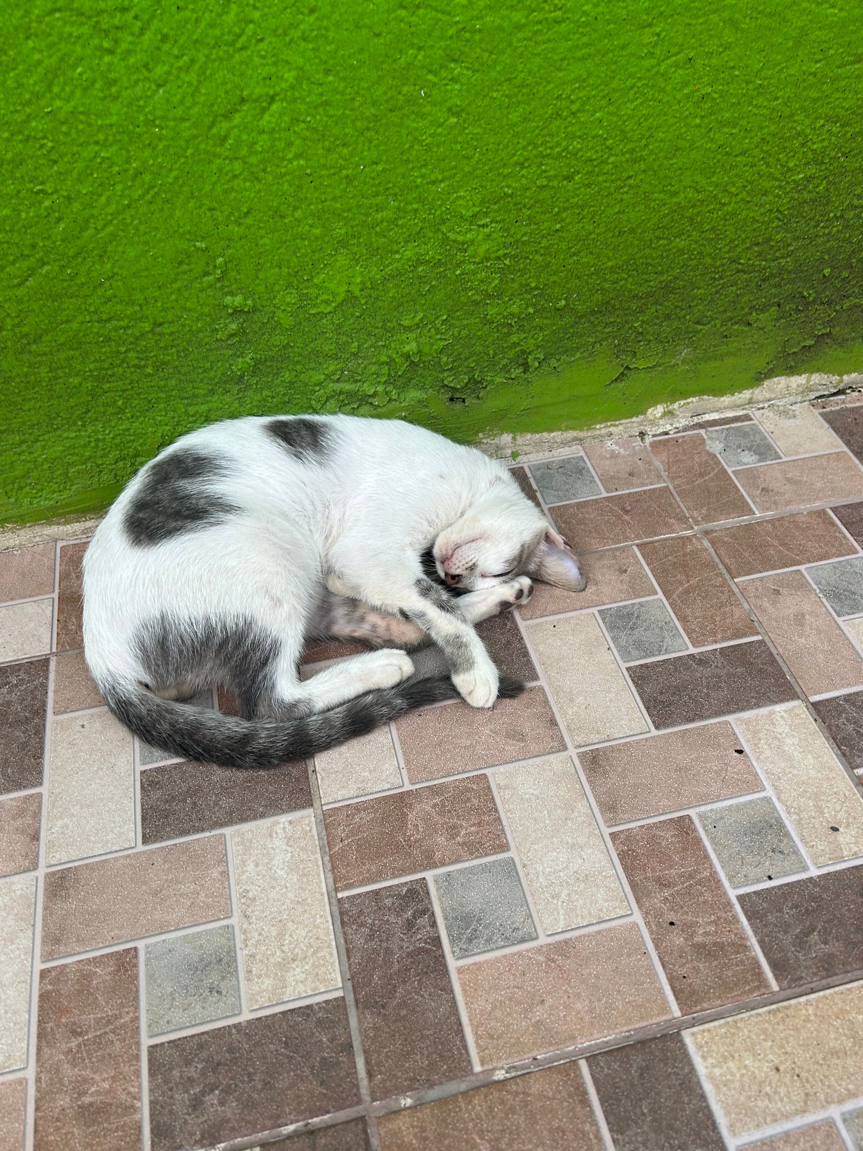 image-10