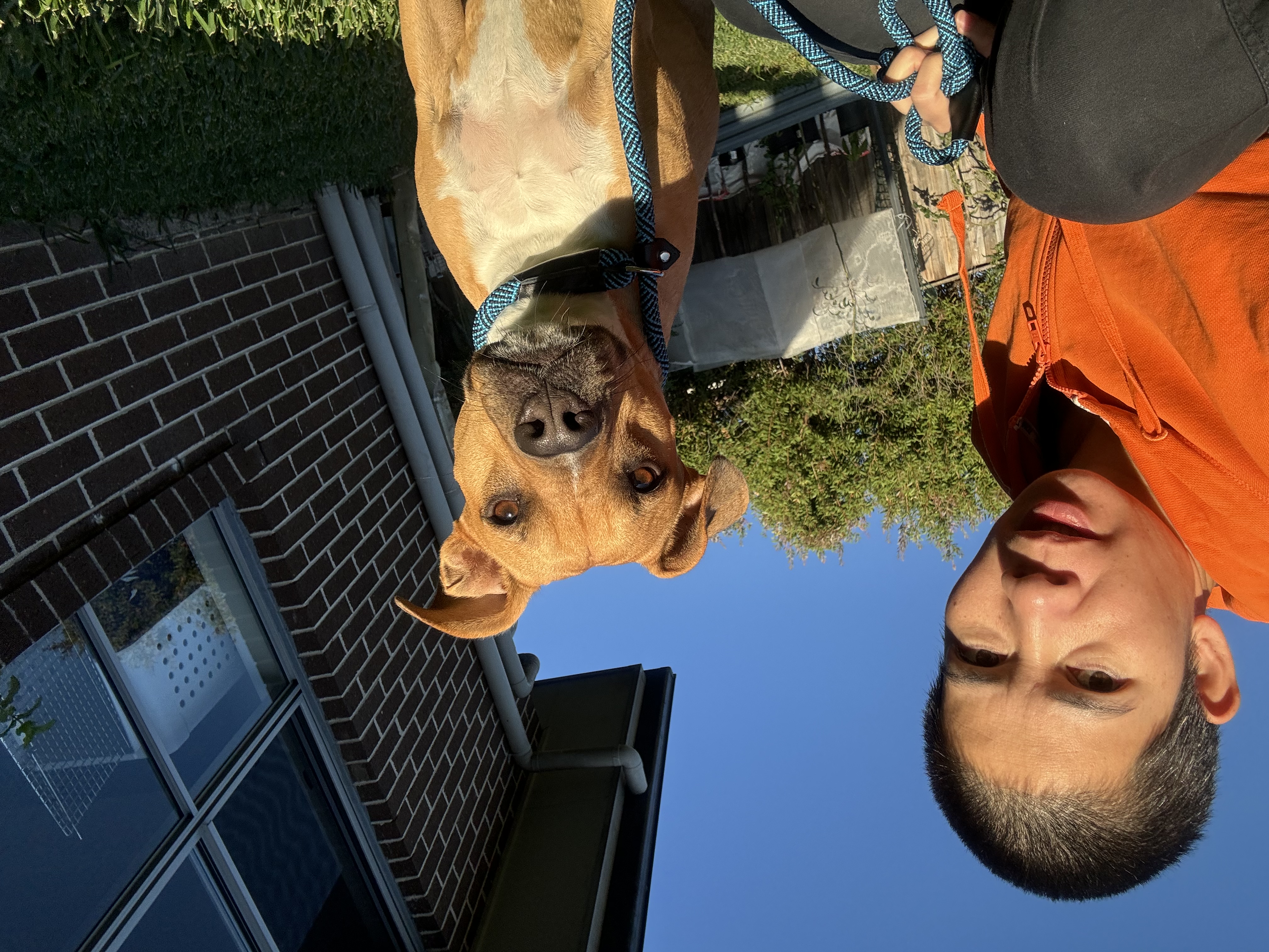 image-16