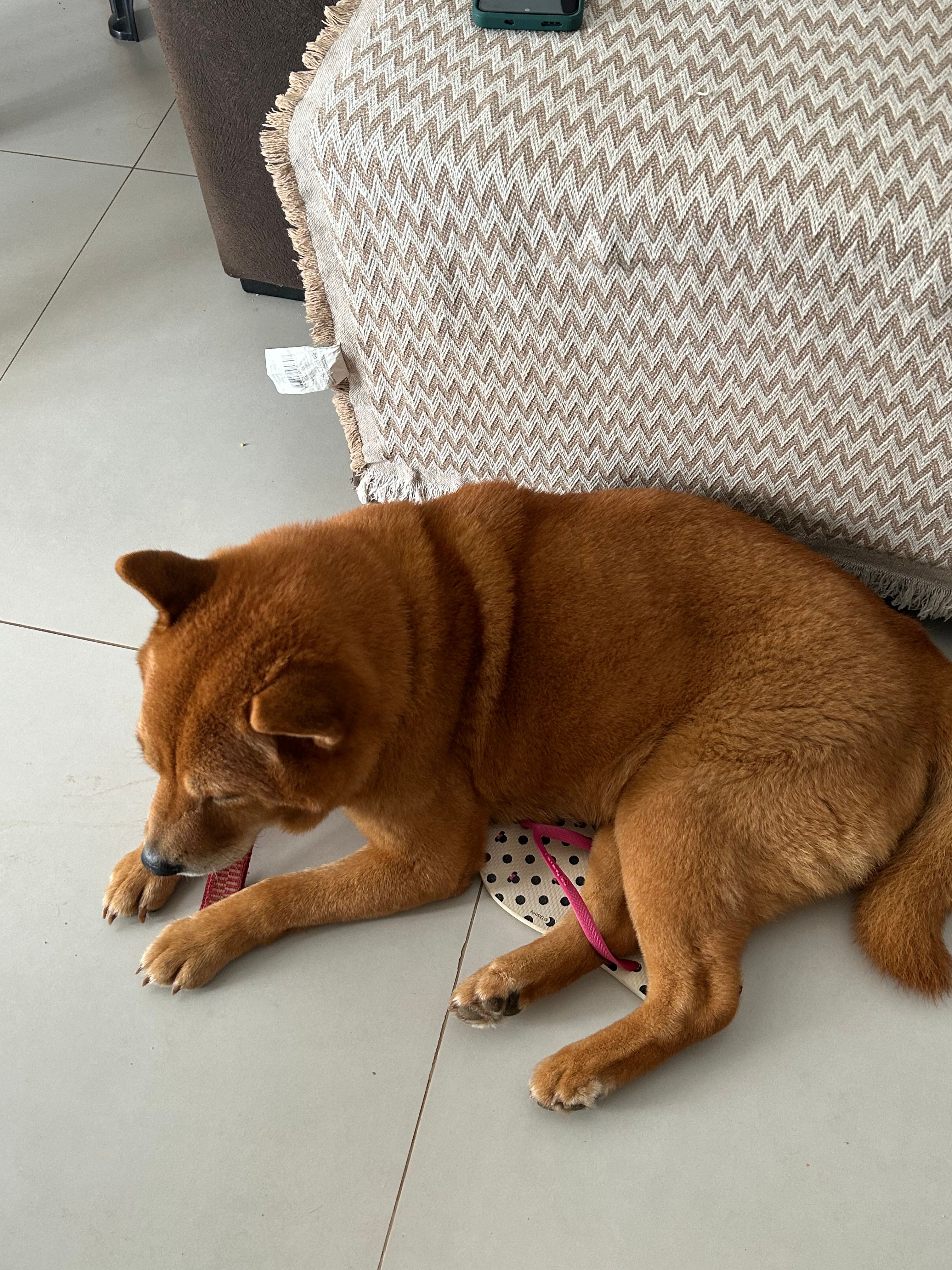 image-17