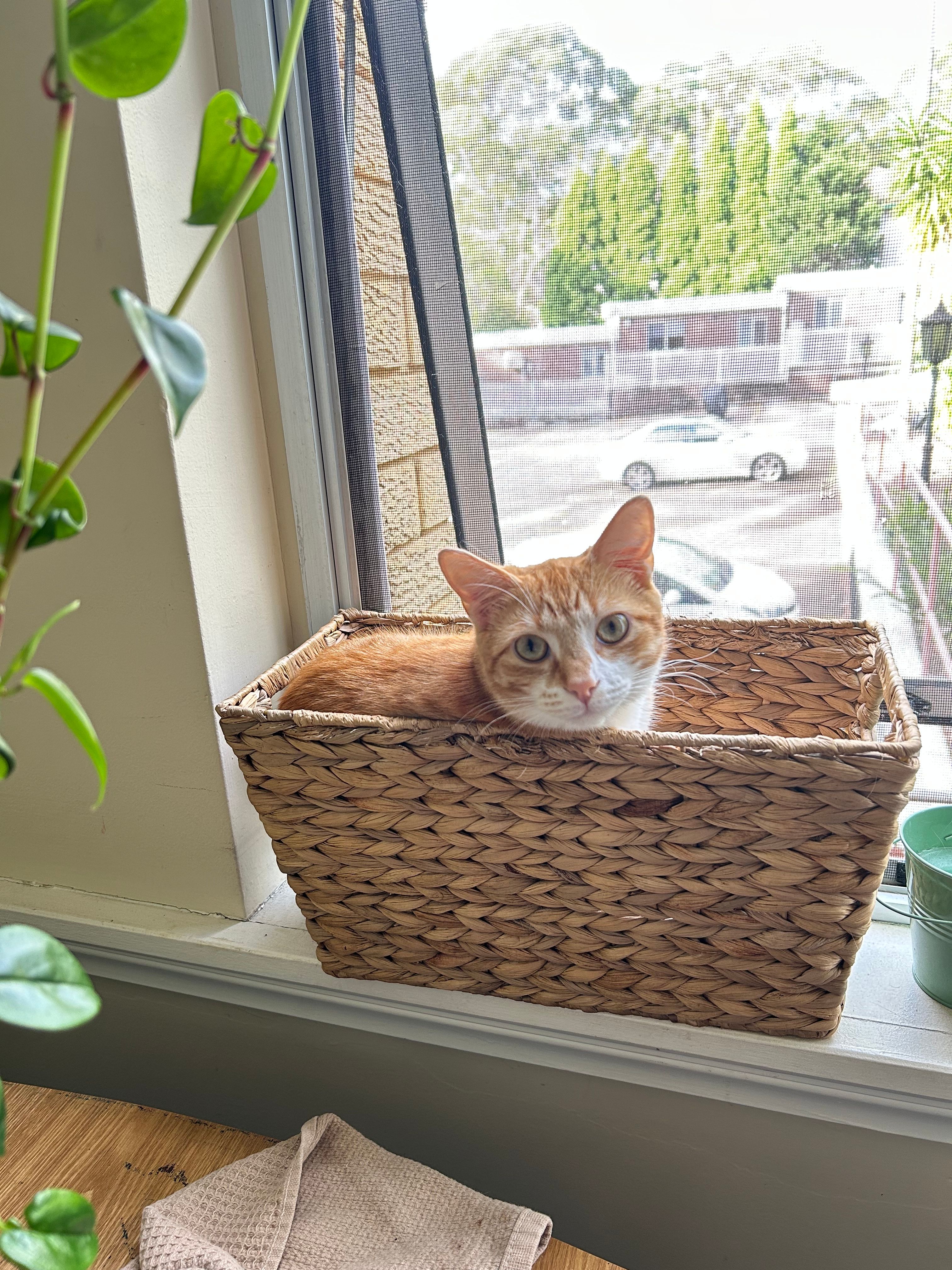 image-16