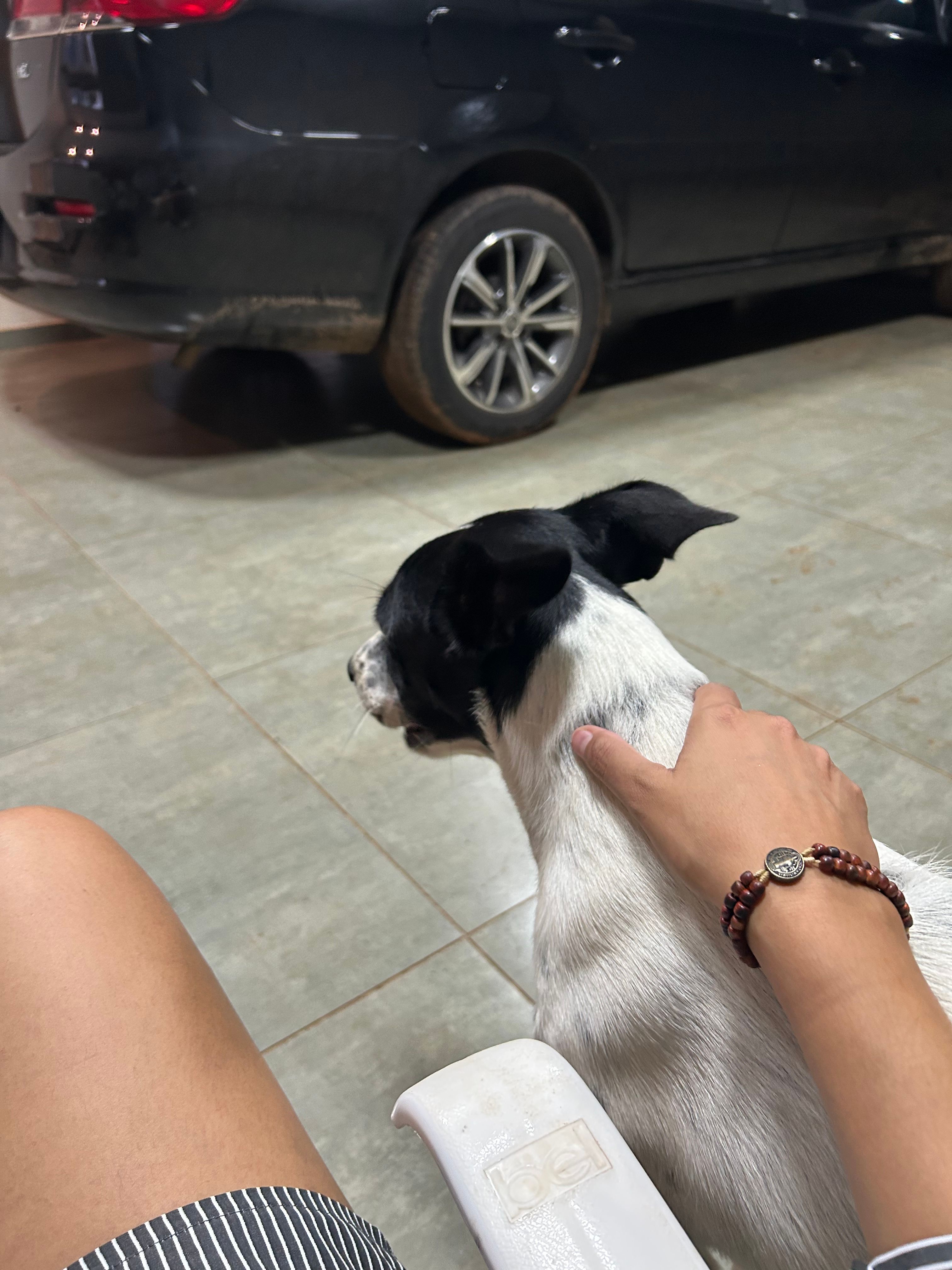 image-15