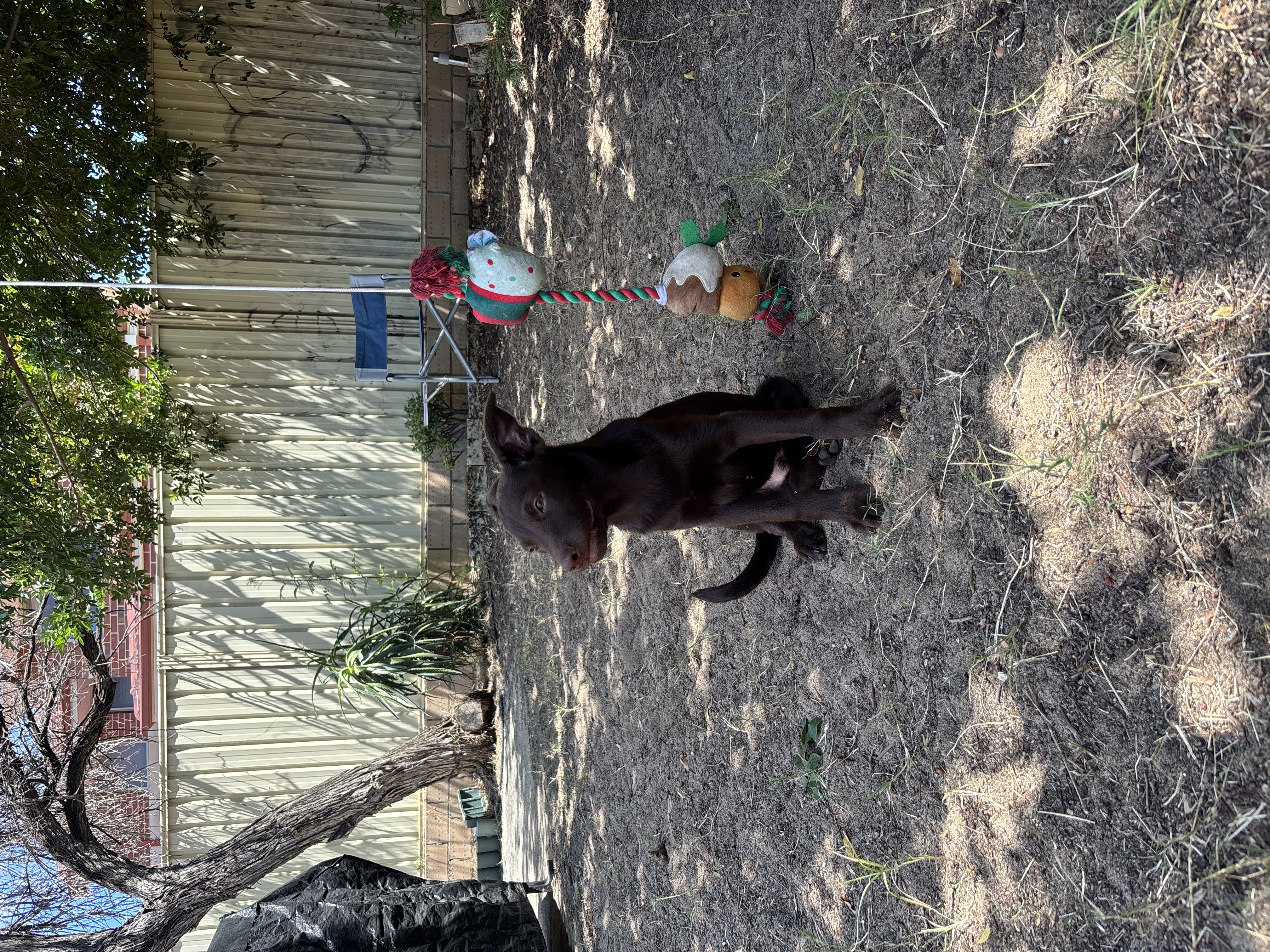 image-10