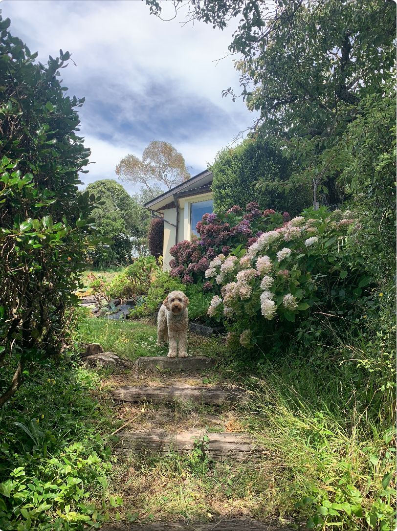 image-13