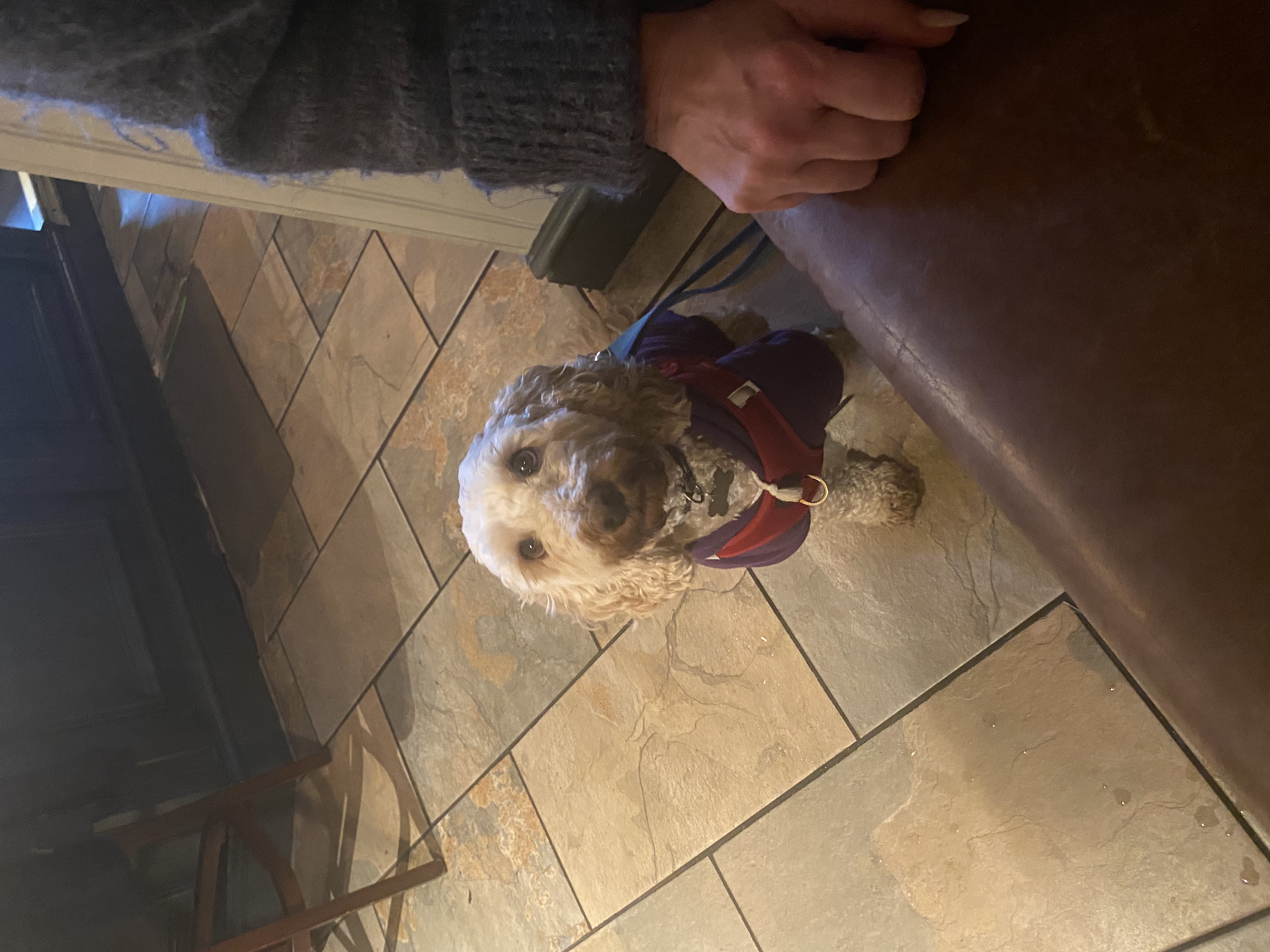 image-16